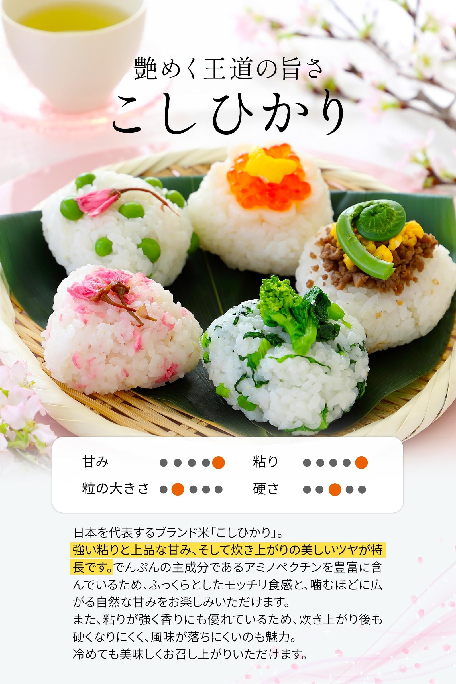 Amazon.co.jp: 【 熊本県産 コシヒカリ 白米 5kg】令和7年産 銘柄米