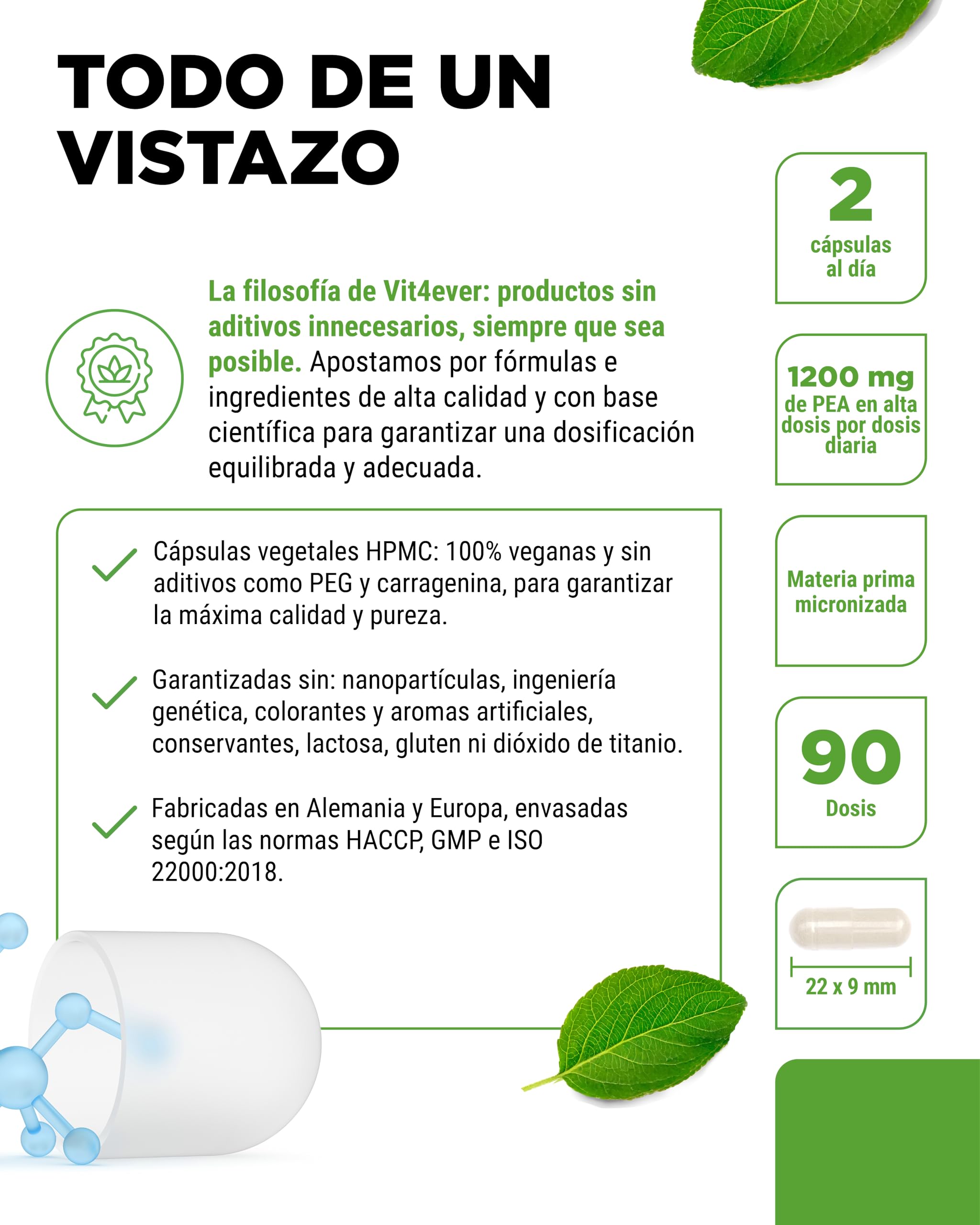 vit4ever PEA 600-180 Cápsulas veganas | 1200 mg de Palmitoiletanolamida Micronizada por dosis diaria - Alta dosis - Sin aditivos - Vegano