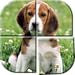 Juegos de Rompecabezas Perros