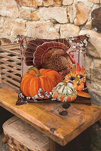 Miniatura 4 de Fundas de almohada decorativas de pavo de Acción de Gracias de 22 x 22 pulgadas, fundas decorativas para el hogar, sofá, decoración de sofá, funda