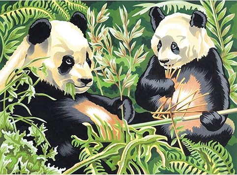 Reeves Large Acrylic Painting By Numbers - Panda