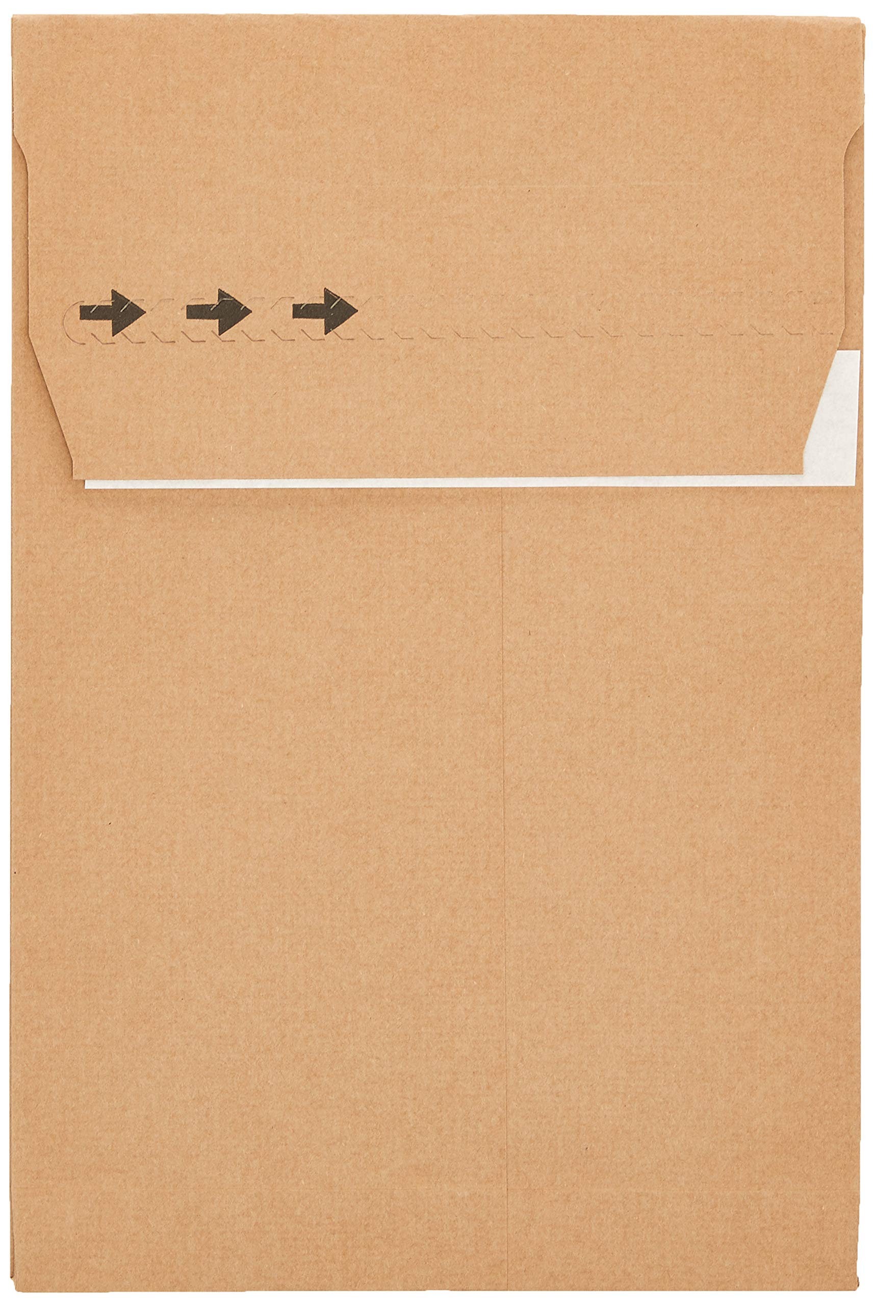 Blake Vita KBB140 Lot de 100 pochettes d'expédition en papier kraft recyclé sans plastique 50 mm 300 x 200 mm