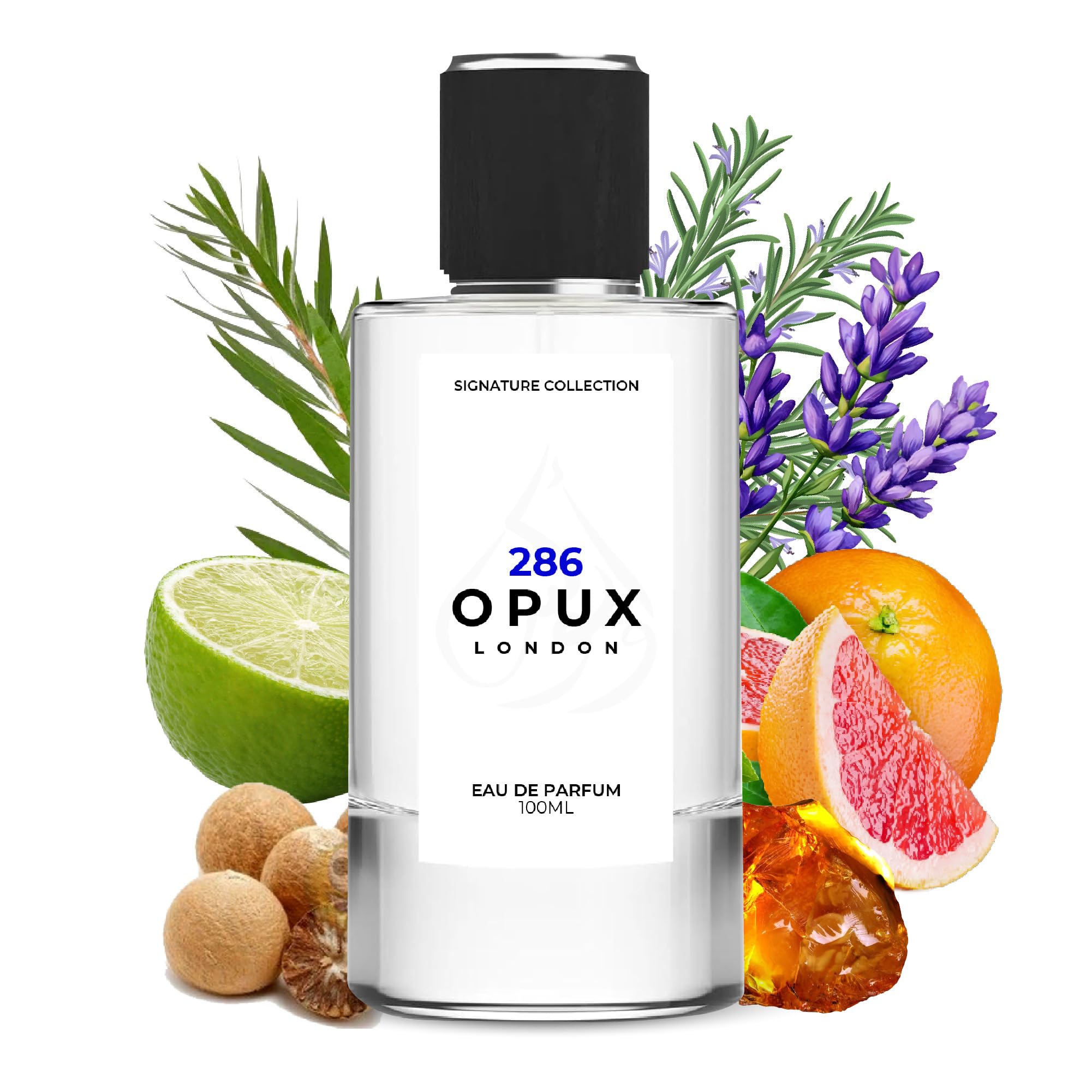 Alternative Inspired by Fahrenheit 100ml Perfume for Men – Eau de Parfum with Leather Violet Nutmeg Amber & Sandalwood – Fragrance for Men – Aftershave Long Lasting Classic Fragrance