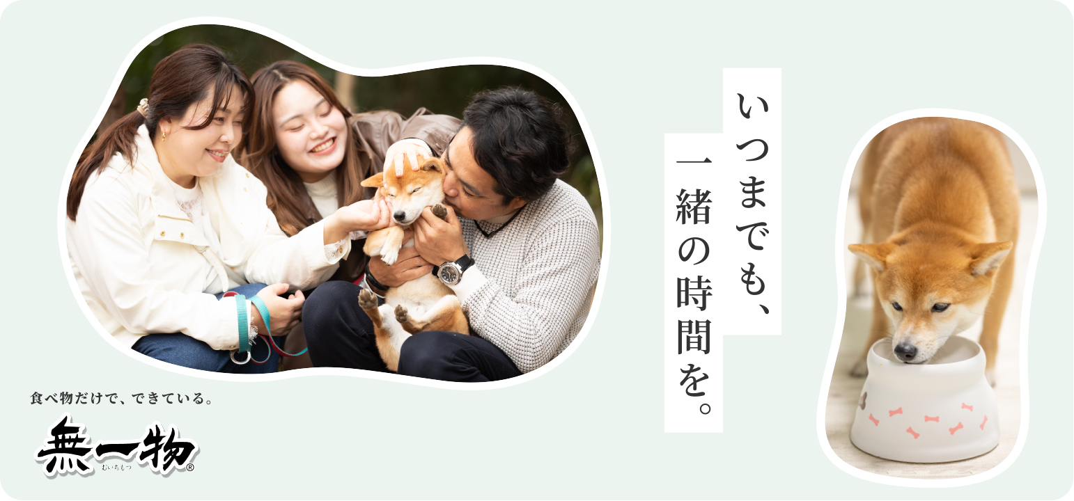 はごろも 無一物 愛犬用ドッグフード パウチ かつお