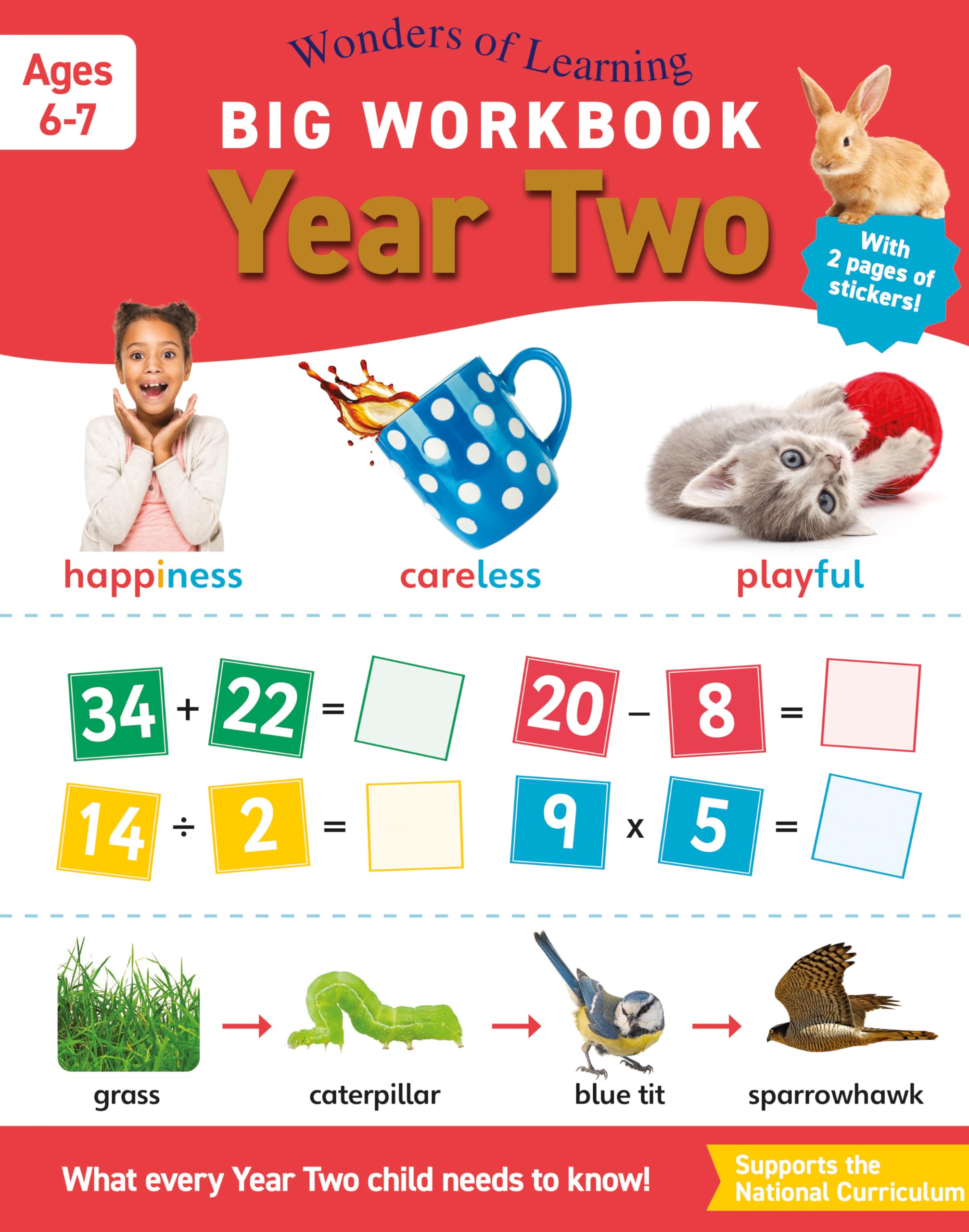 Big Workbook Year 2