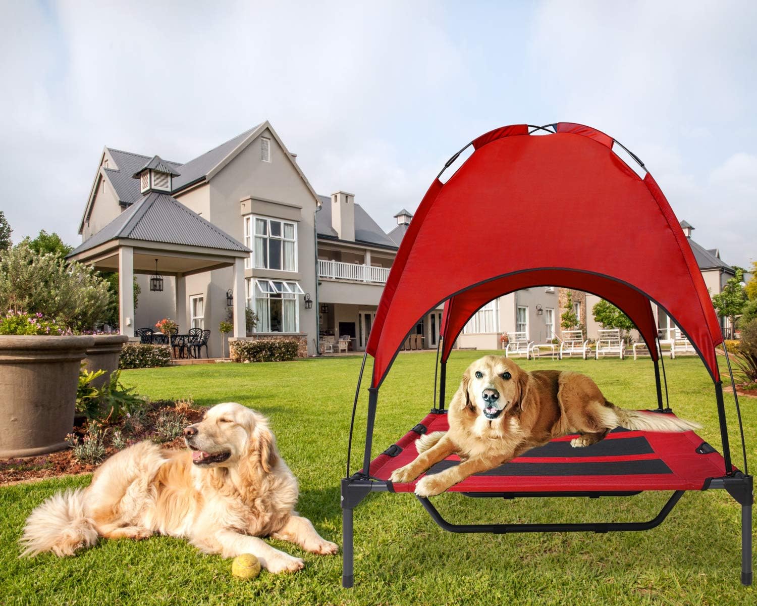 HLong Elevated Pet Cot, Portable Raised Dog Bed for Indoor Outdoor Use,1 Replacement Cover, XL, Red : Pet Supplies