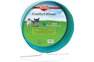 Kaytee Comfort Wheel: An Exercise Essential for Active Chinchillas