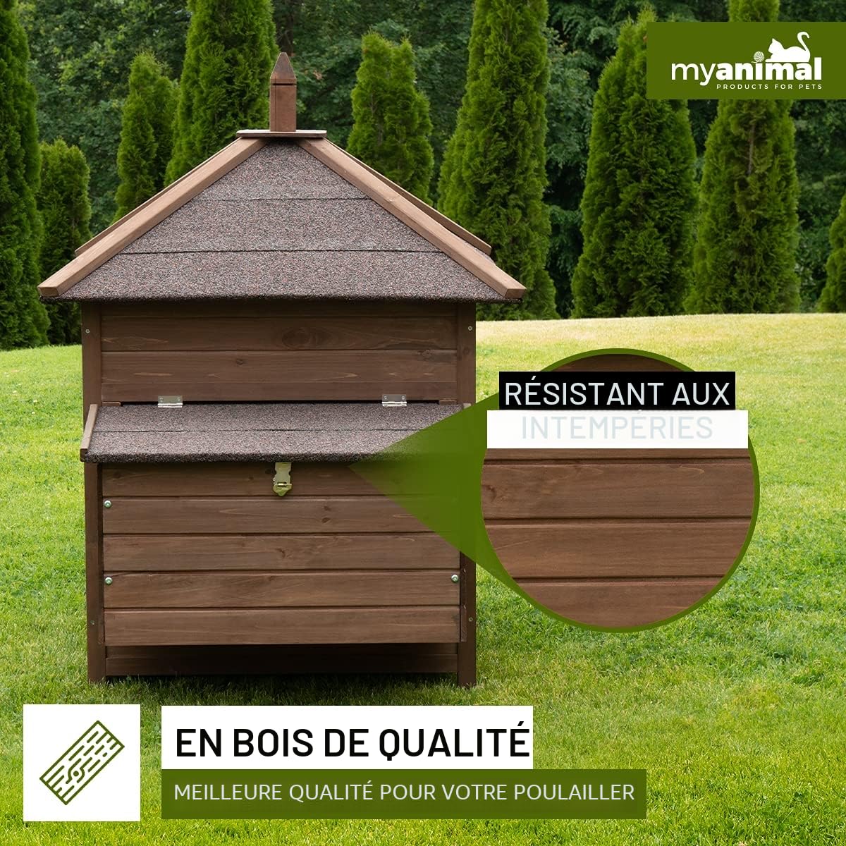Miweba MyAnimal Poulailler MH-11 avec pondoir | pour 3 Poules - Nichoir séparé - 2 perchoirs - Résistant à l'hiver - Maison pour Poules - Bois de pin - Volière - Trappe (Marron foncé)