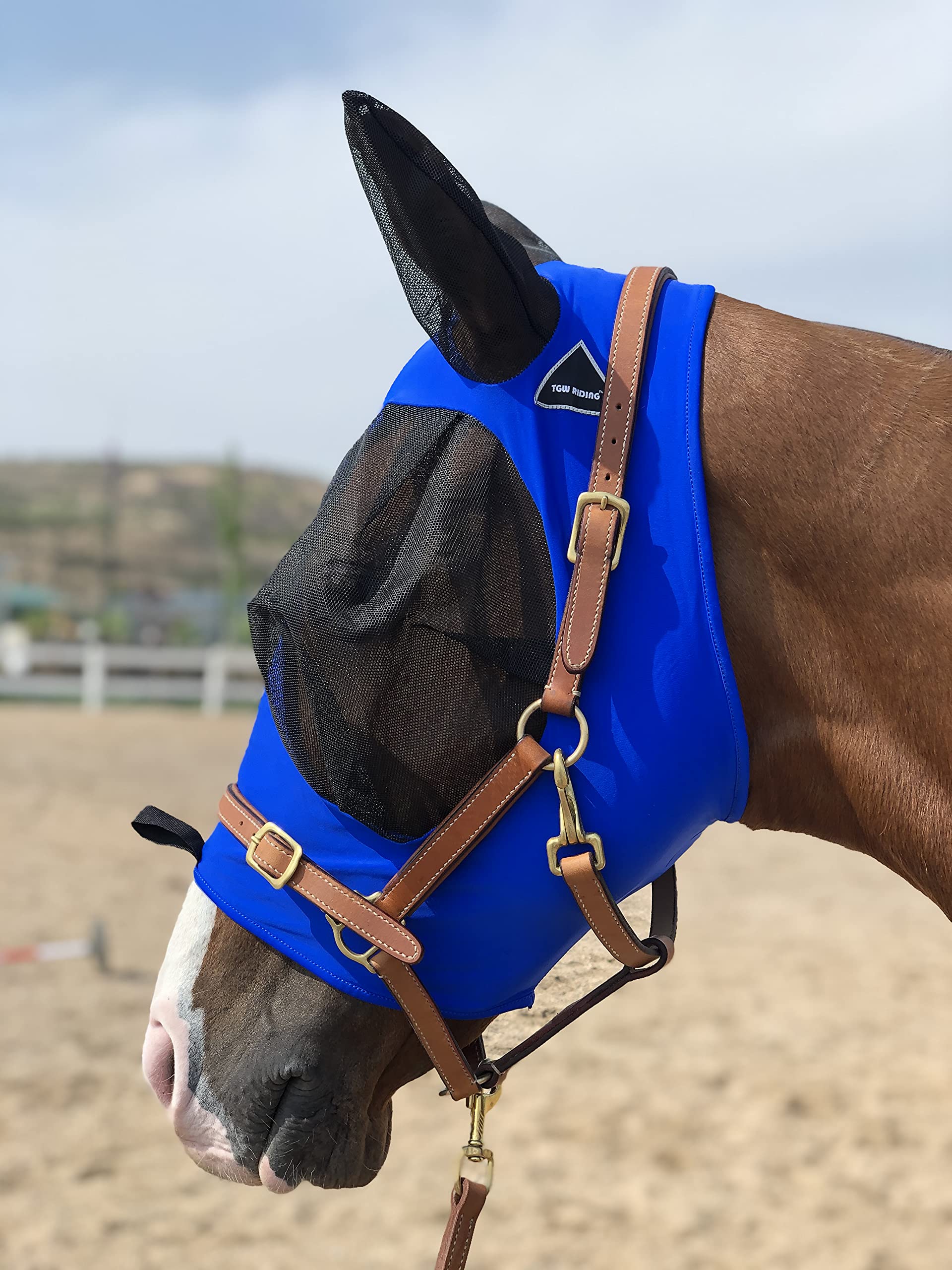 TGW RIDING Horse Fly Mask Super Comfort Horse Fly Mask Elasticity Fly Mask With Ears L Royal Blue L Royal Blue