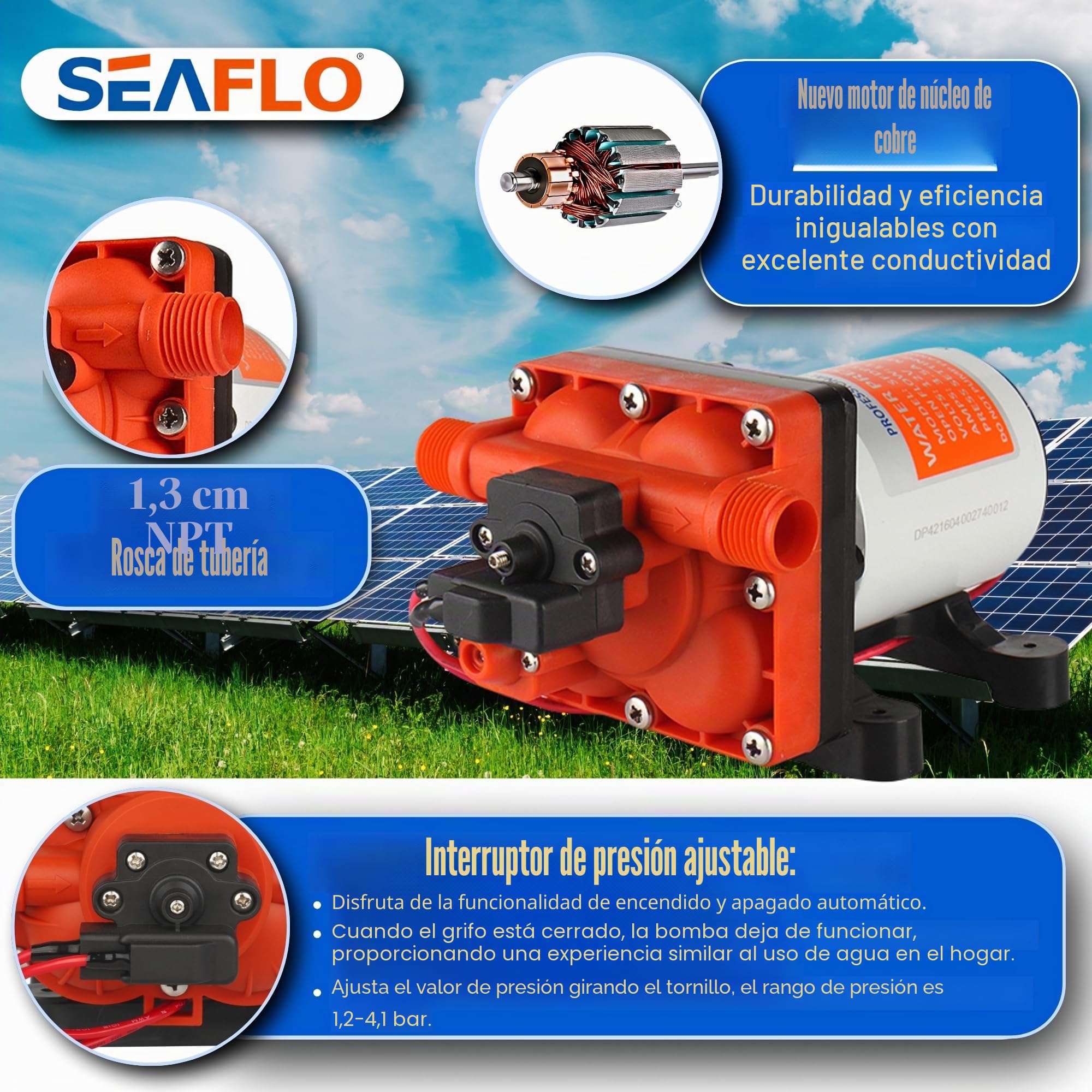Seaflo Bomba de diafragma Serie 42 con bypass-12V/24V 3.0GPM 55PSI (12 Voltios)