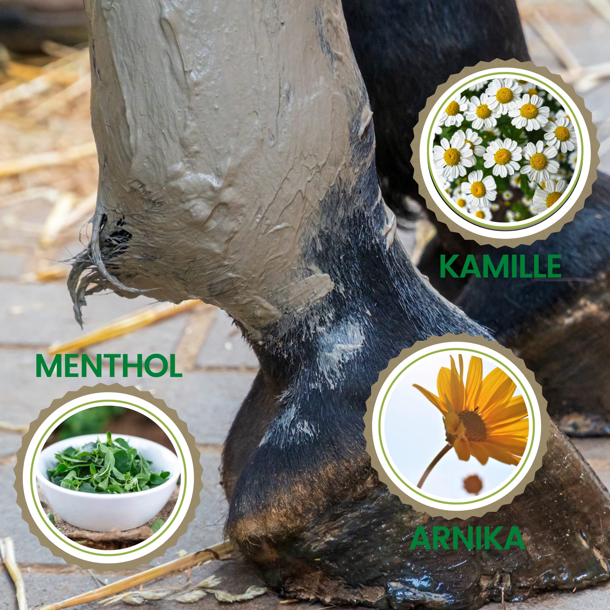 Emma Argile pour Chevaux – Set 2×1,5 kg | Pâte d’Argile Refroidissante pour Tendons & Articulations | 1× avec Arnica + 1× Pure sans additifs | Soulagement Jambes, Muscles & Seines