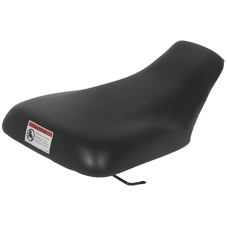 Amazon.com: ECOTRIC New Complete Seat Compatible with 2004