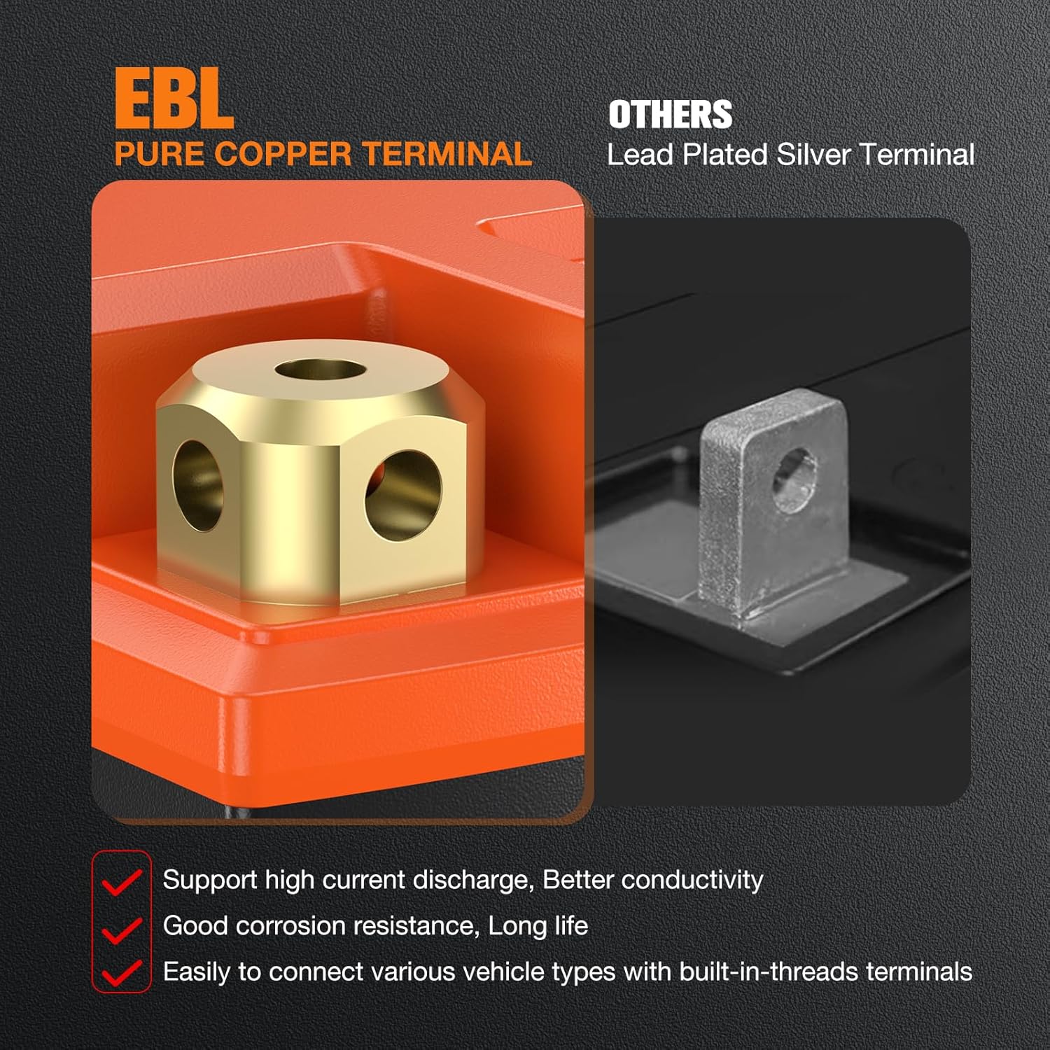 Close-up of EBL Pure Copper Terminal