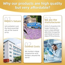 HIQILI 16 Fl Oz Ginger Oil, 100% Pure Natural Ginger Essential Oil for Hair, Massage, Skin - 500ML