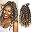 Goddess Locs Crochet Hair Short Curly Faux Locs 12Inch Pre-looped River Locs Hippie Locs Bohemian Crochet Braids for Black Women 4Packs(1B/27, 12inch)