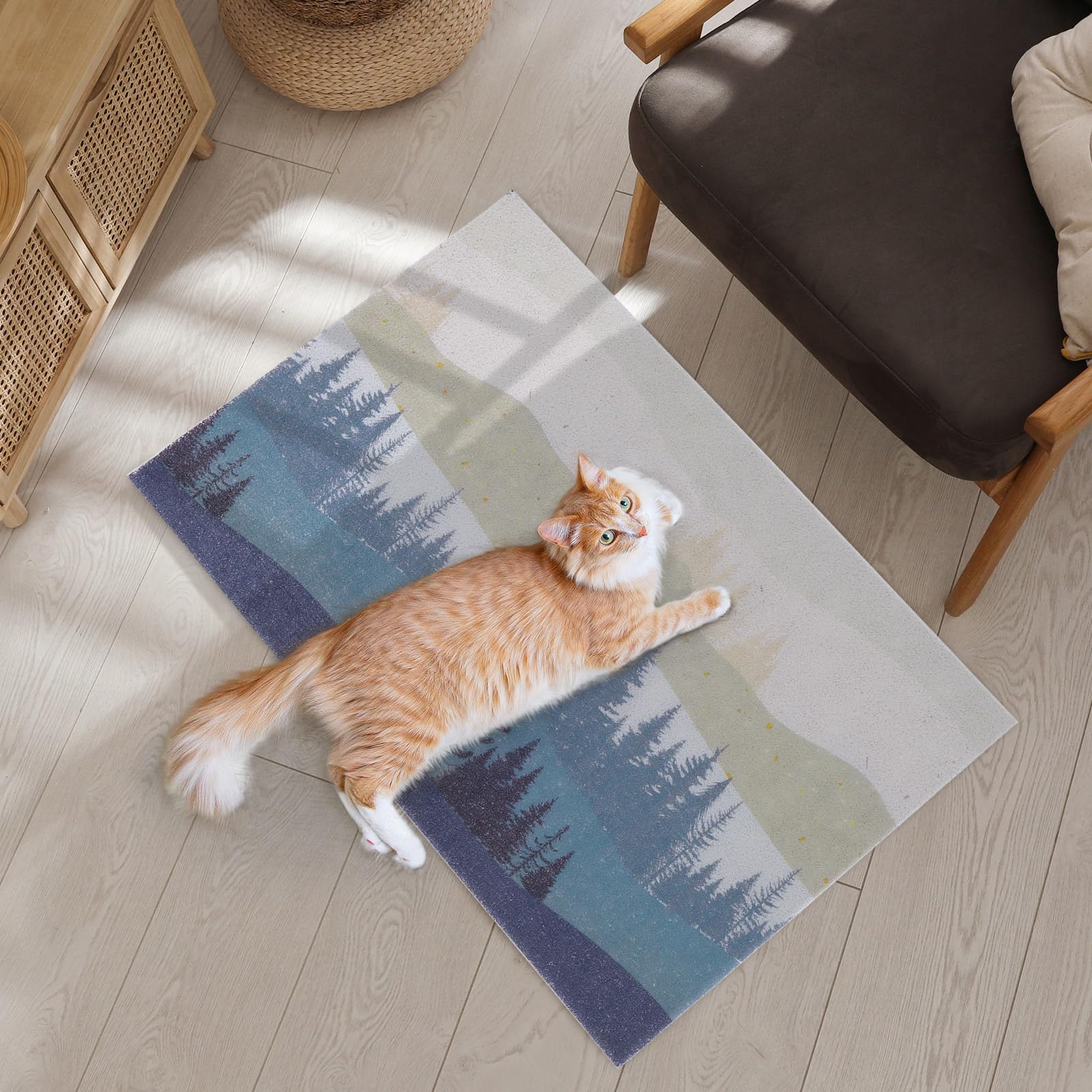 Glittme Katzenklo Matte, Weiche Katzentoilettenmatte, PVC-Material Katzenklo Matte Streu Fangmatte für Katzen, Kätzchen, Katzenmatten für Streu Leicht zu Reinigen
