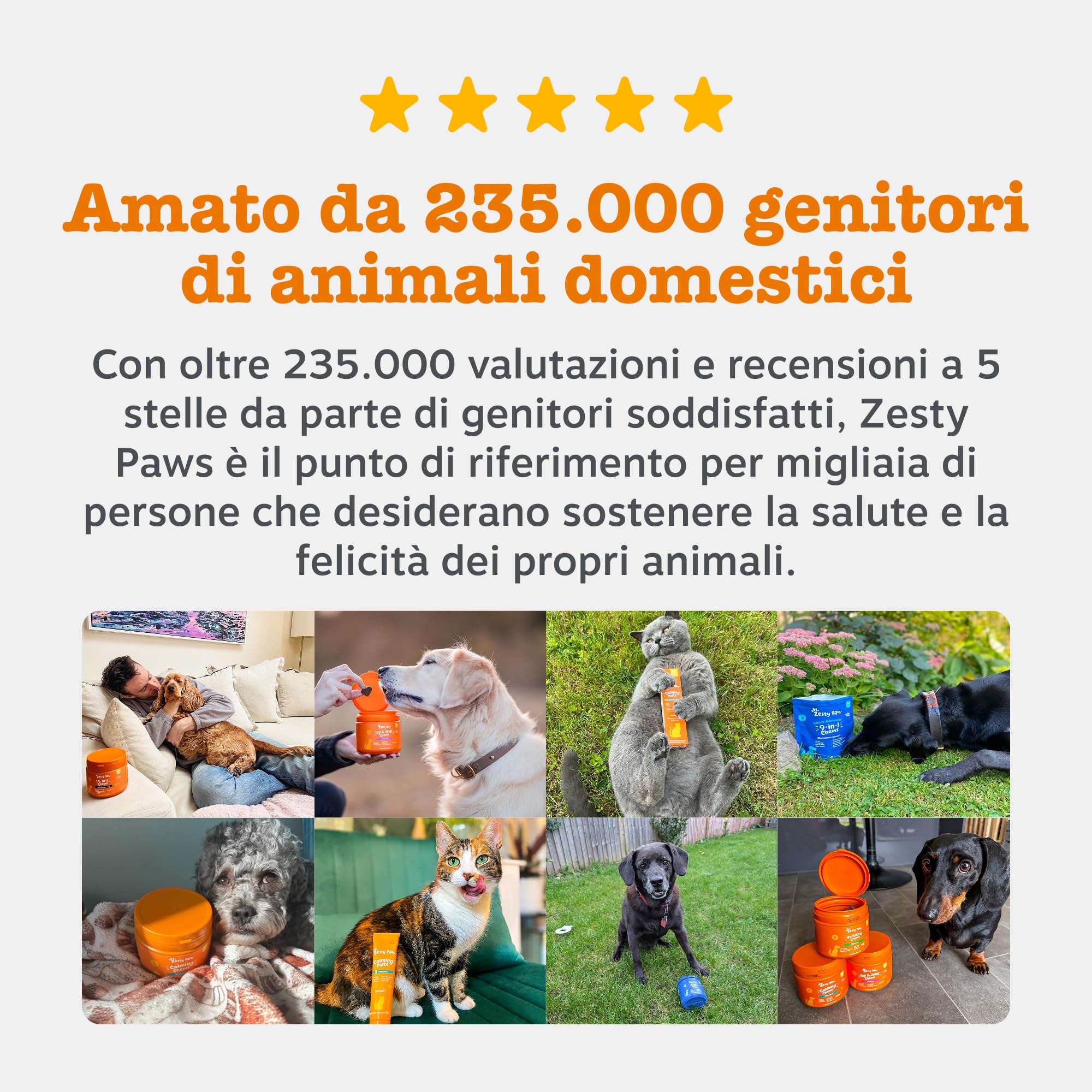 Zesty Paws Digestion & Prebiotic Paste - Digestione - per Gatti – Supporta Salute Intestinale e Sistema Immunitario – con Postbiotici, Inulina, Olio Algale e Vitamine C ed E – Gusto Pesce – 75g