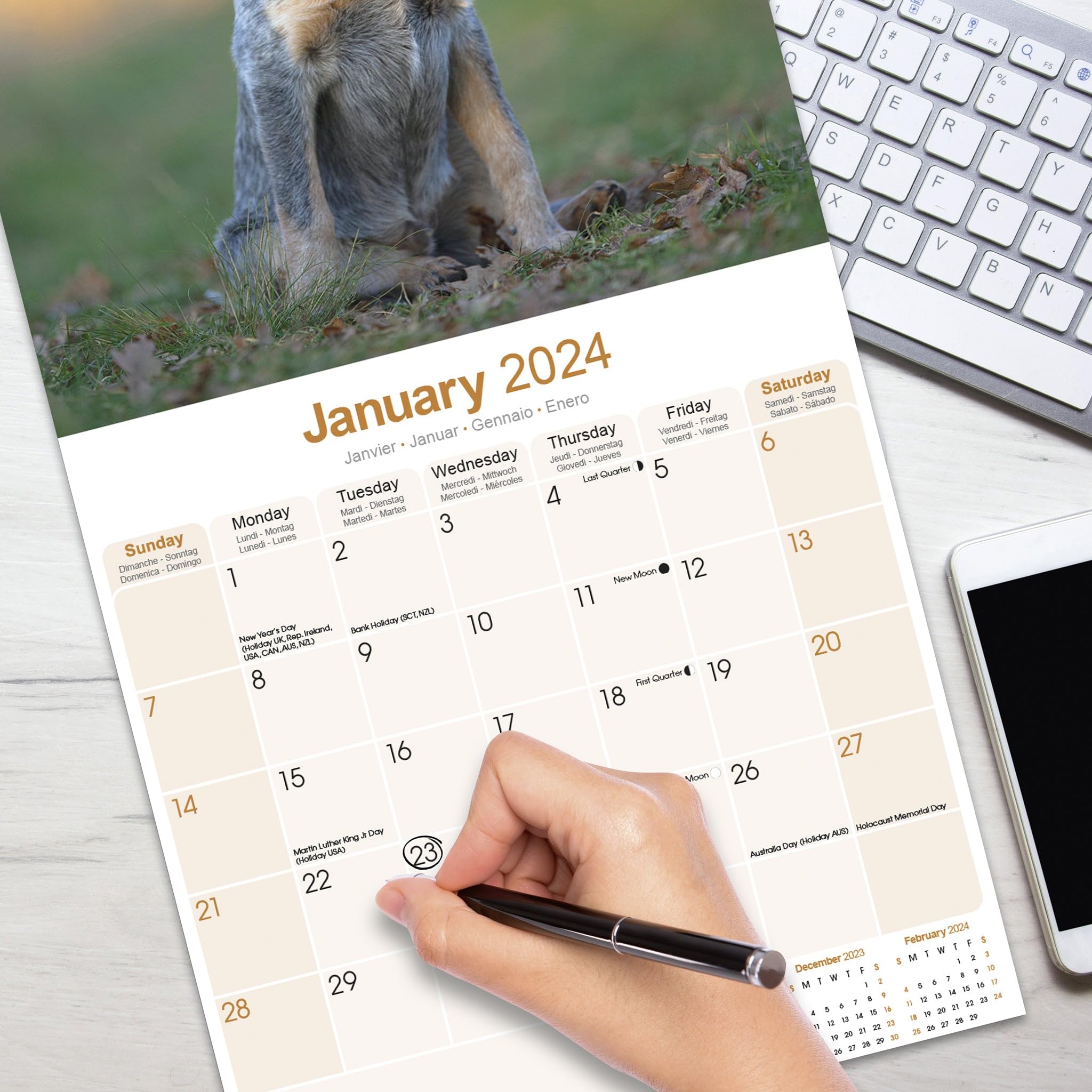 Australian Cattle Dog Calendar 2024 Square Dog Breed Wall Calendar - 16 Month - Image 3