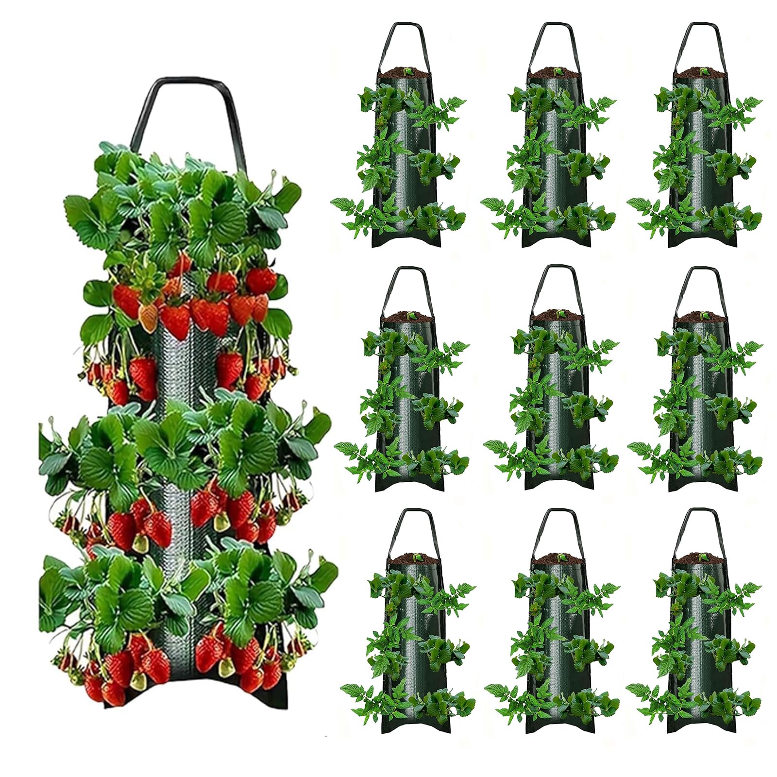 Amazon.com : Upside Down Strawberries Grow Bags,10 Pack Garden Hanging  Strawberry Grow Bag, Hanging Strawberry Planter with Planting Pockets, Hanging  Planter for Strawberries,Tomatoes, Chili, Herbs, Vegetables : Patio, Lawn &  Garden