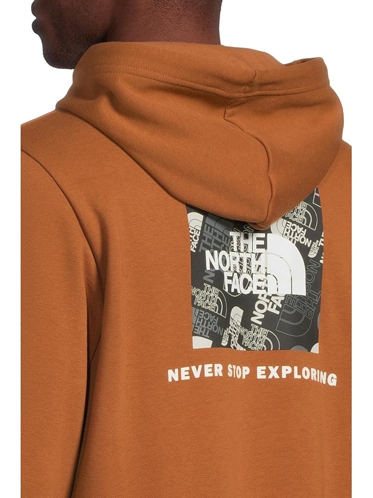 Brown The North Face Evolution Box Toss Fill Hoodie Graphic