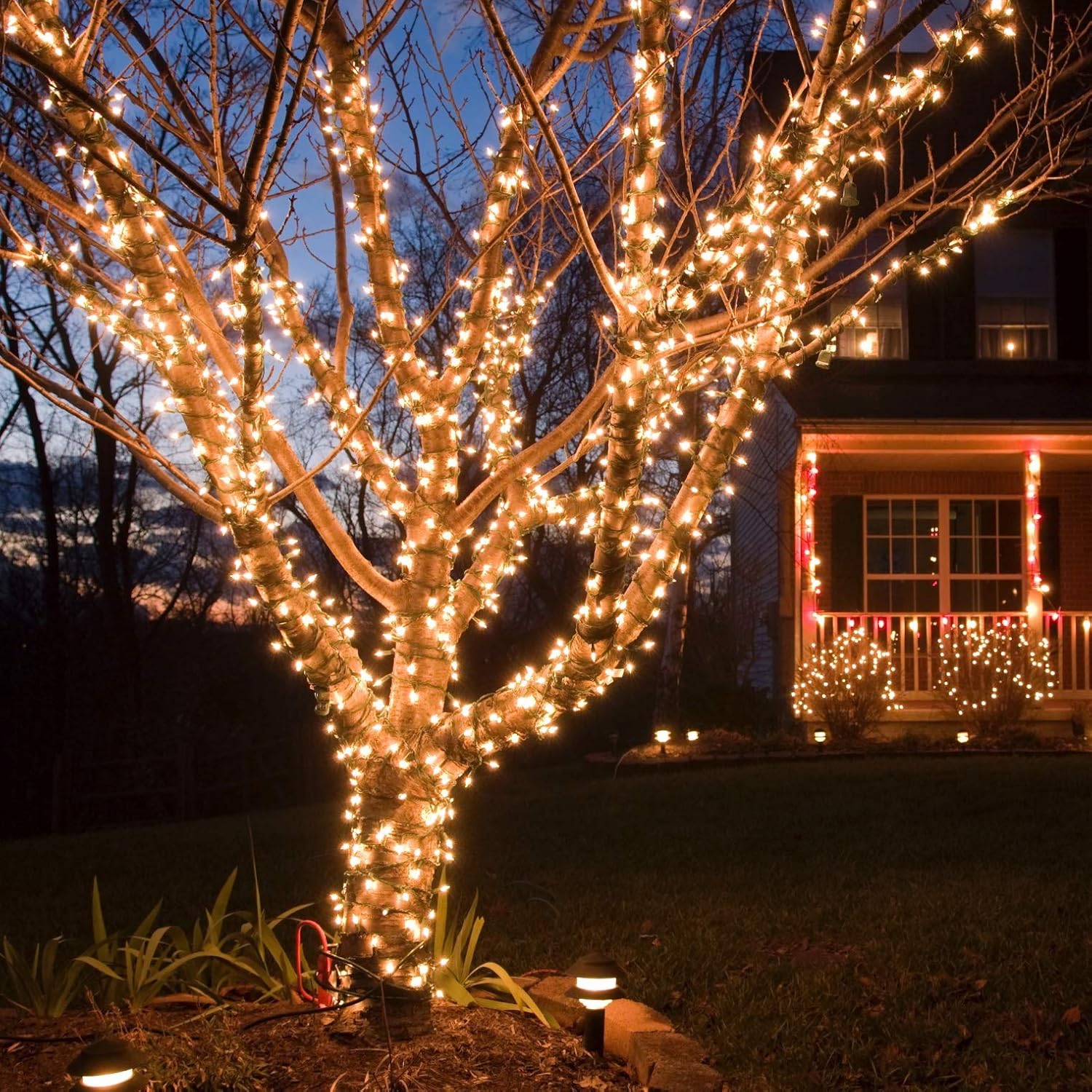 Baimo 2 Pack 33ft Solar String Lights, 100 LED 8 Modes Waterproof Fairy Lights for Garden, Tree, Yard, Christmas, Wedding, Party Outdoor Indoor (Warm White)