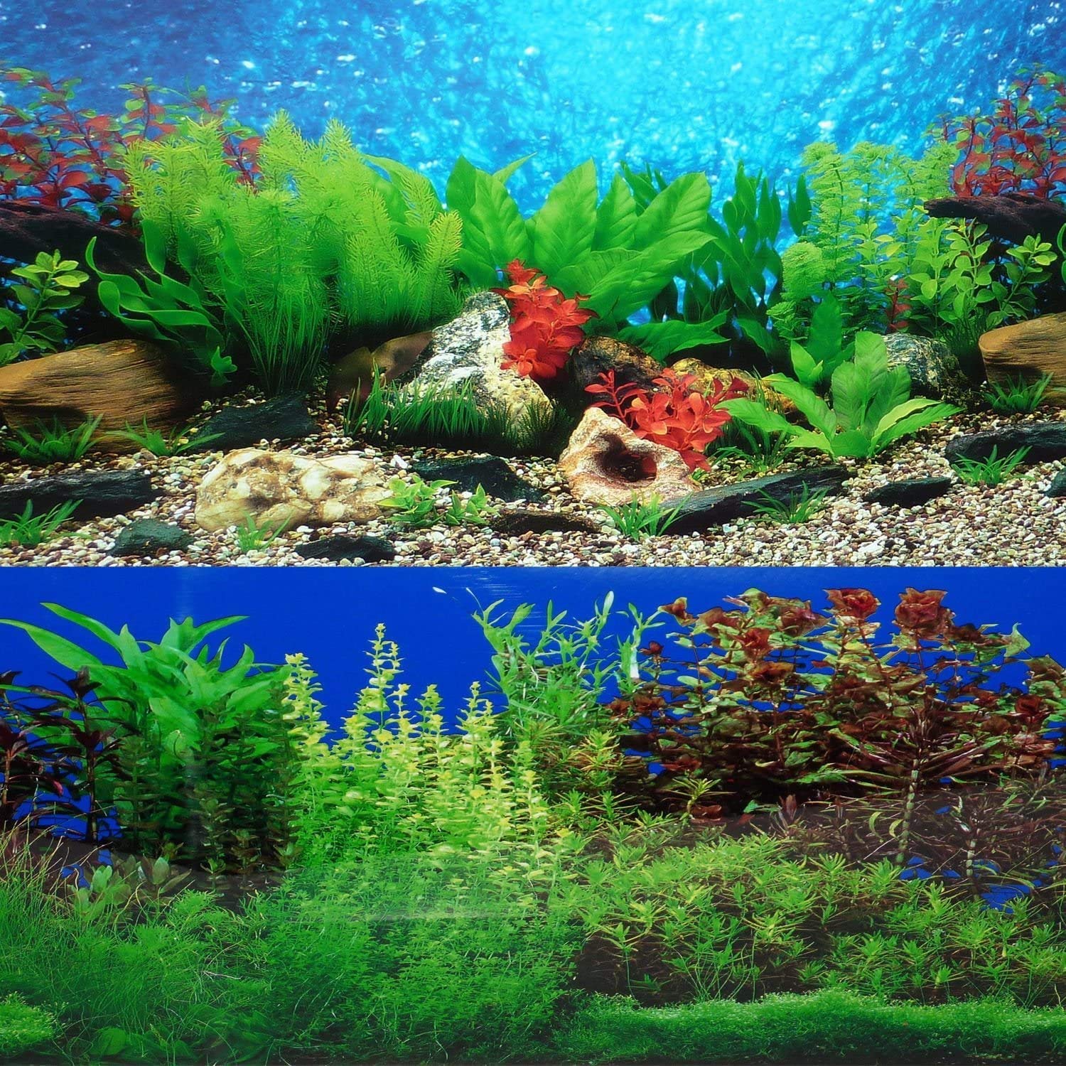 Freshwater Fish Tank Backgrounds