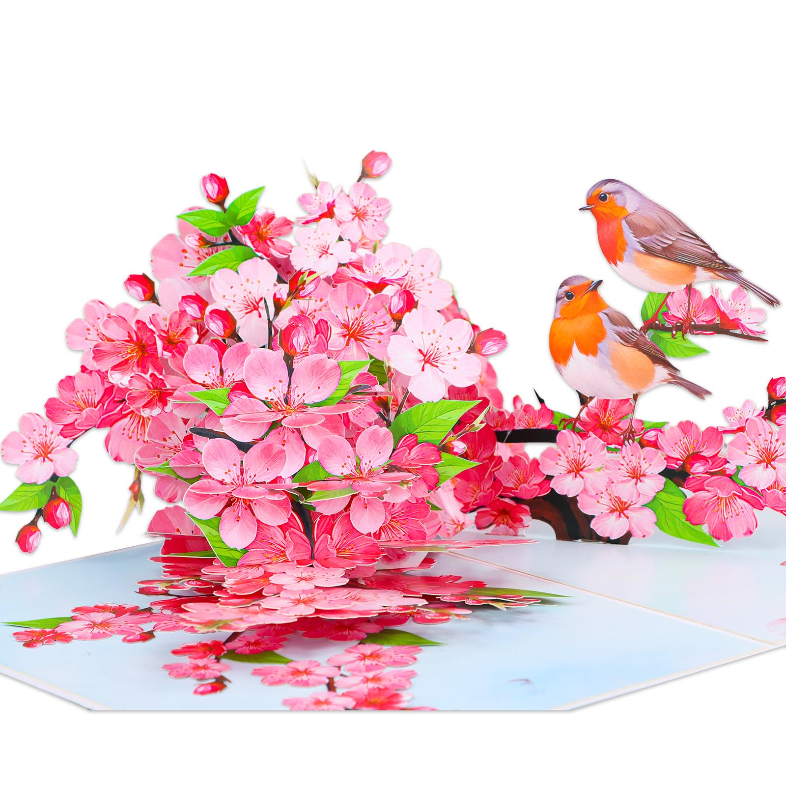 D4DREAM Pop Up Anniversary Card - 3D Cherry Blossom Robins Couple Pop Up Greeting Card with Envelope, Blank Insert, Romantic Valentine Wedding