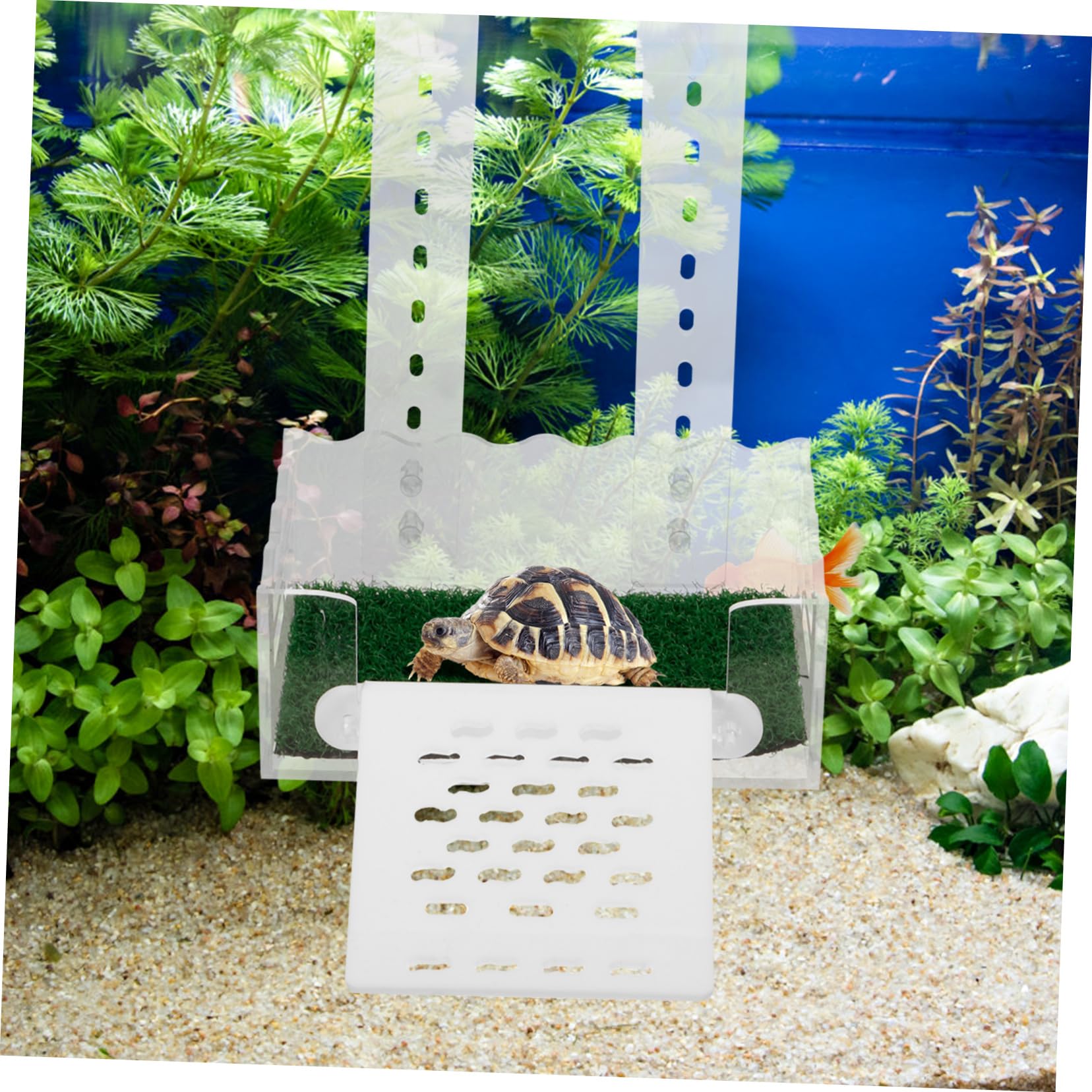 BESPORTBLE 5 Pièces Tortue Coucher De Soleil Plate-Forme d'escalade pour Reptiles Accessoires pour Réservoir De Tortues Rampe d'escalade pour Reptiles Accessoires De Terrarium Acrylique