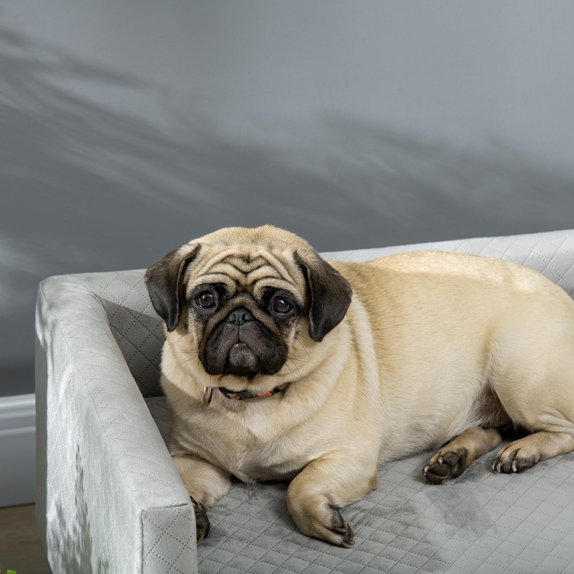 PawHut Divano per Cani e Gatti con Design Scandinavo e Cuscino Imbottito, Cuccia per Animali da Interno in Velluto e Legno, 64x45x36cm, Grigio