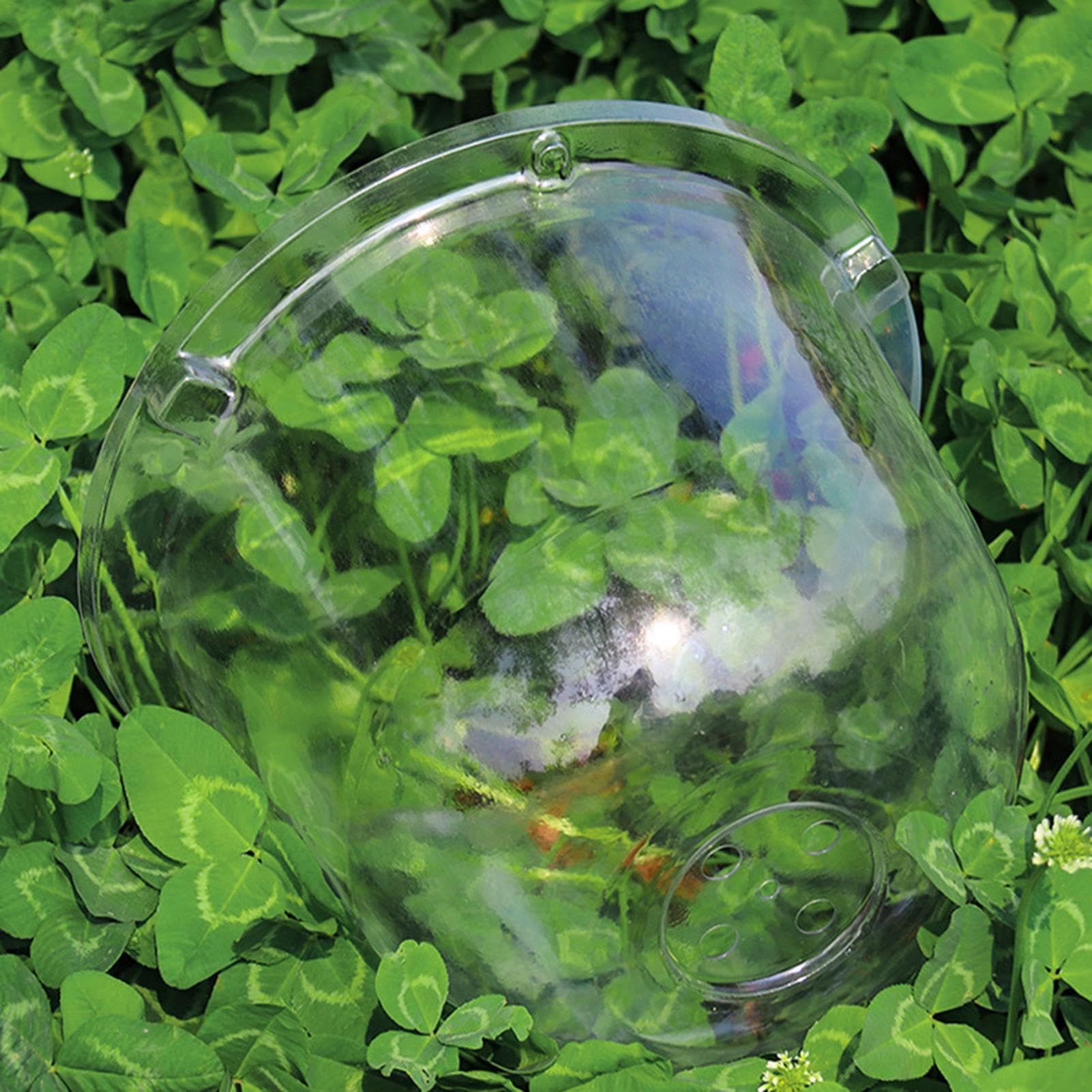 10 Pièces Cloche pour Pla-ntes De Jardin - Couvercle De Cloche De Dôme De Plan-Te, Plan-Te Succulentes Couvercle Jardin Cloche Dôme, Dômes D'humidité Réglables pour Plan-Te Serre