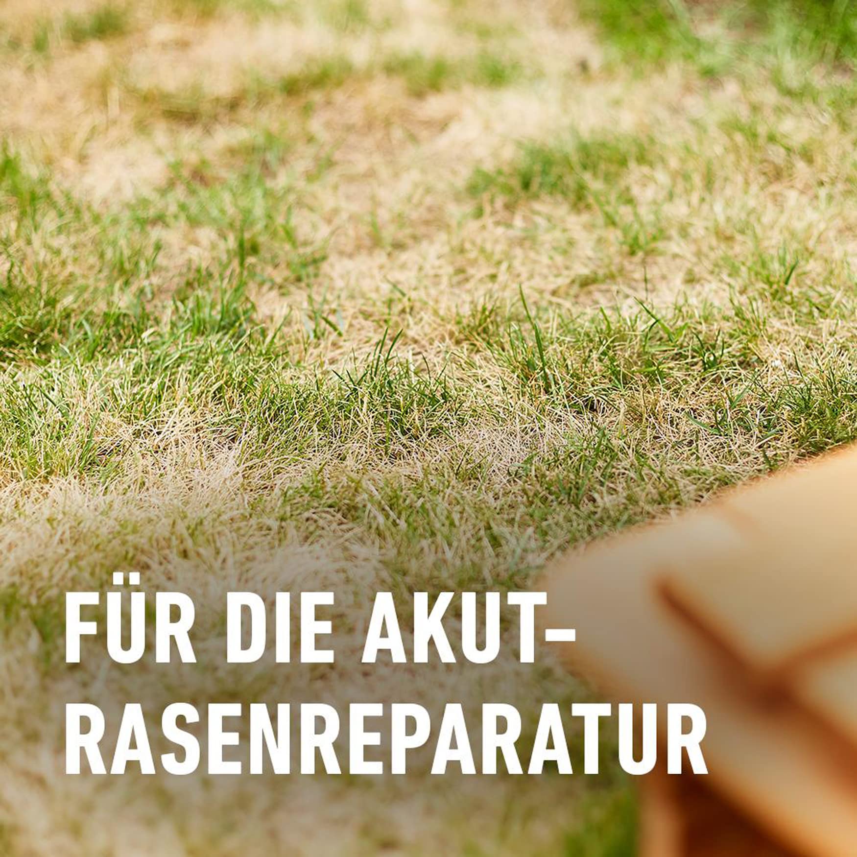 COMPO Trockenschäden-Mix 4in1-Rasenreparatur, Trockensaat, Dünger, Bodenaktivator und Mykorrhiza in einem, Rasendünger und Rasensamen / Grassamen, 5 kg, 100 m²