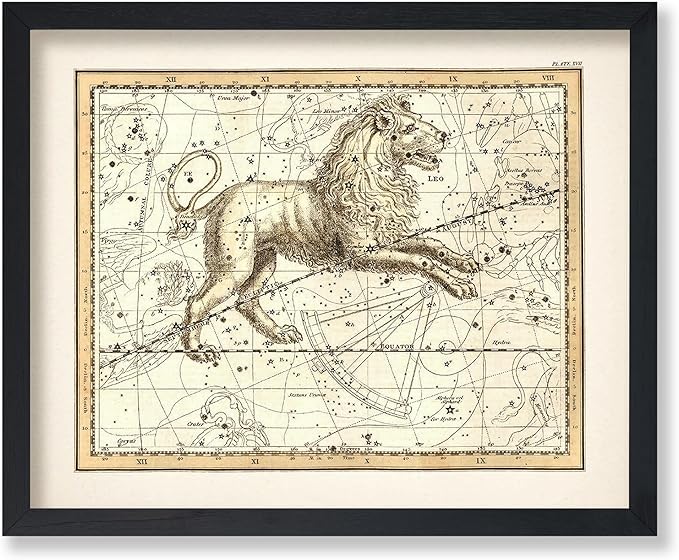Poster Master Leo the Lion Zodiac Sign Poster, Great Vintage Zodiac Poster, 8x10 Unframed Art Print, Astrology and Aptitude Vintage Home Wall Decor for Astrology Enthusiasts