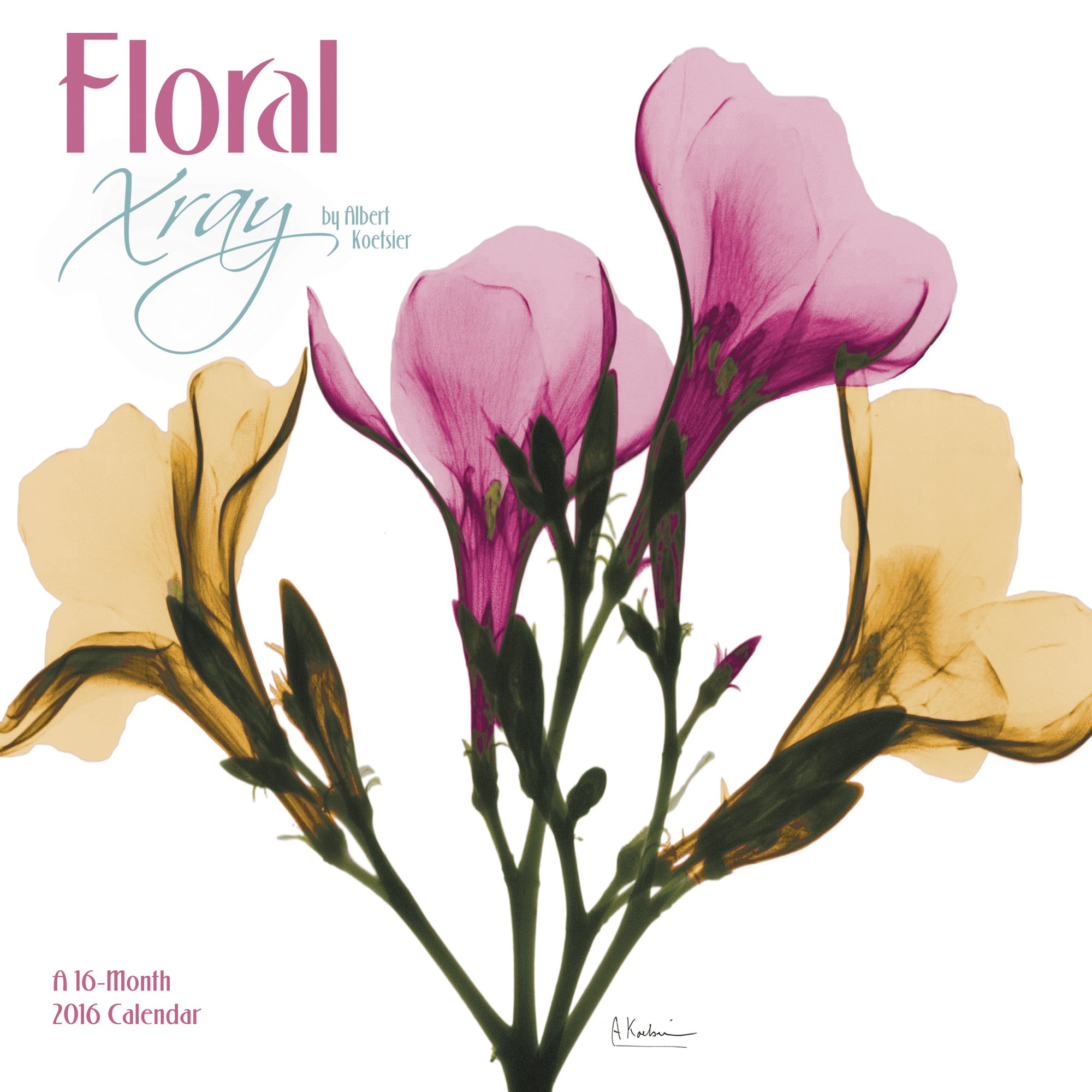 Floral Xray by Albert Koetsier Wall Calendar (2016)