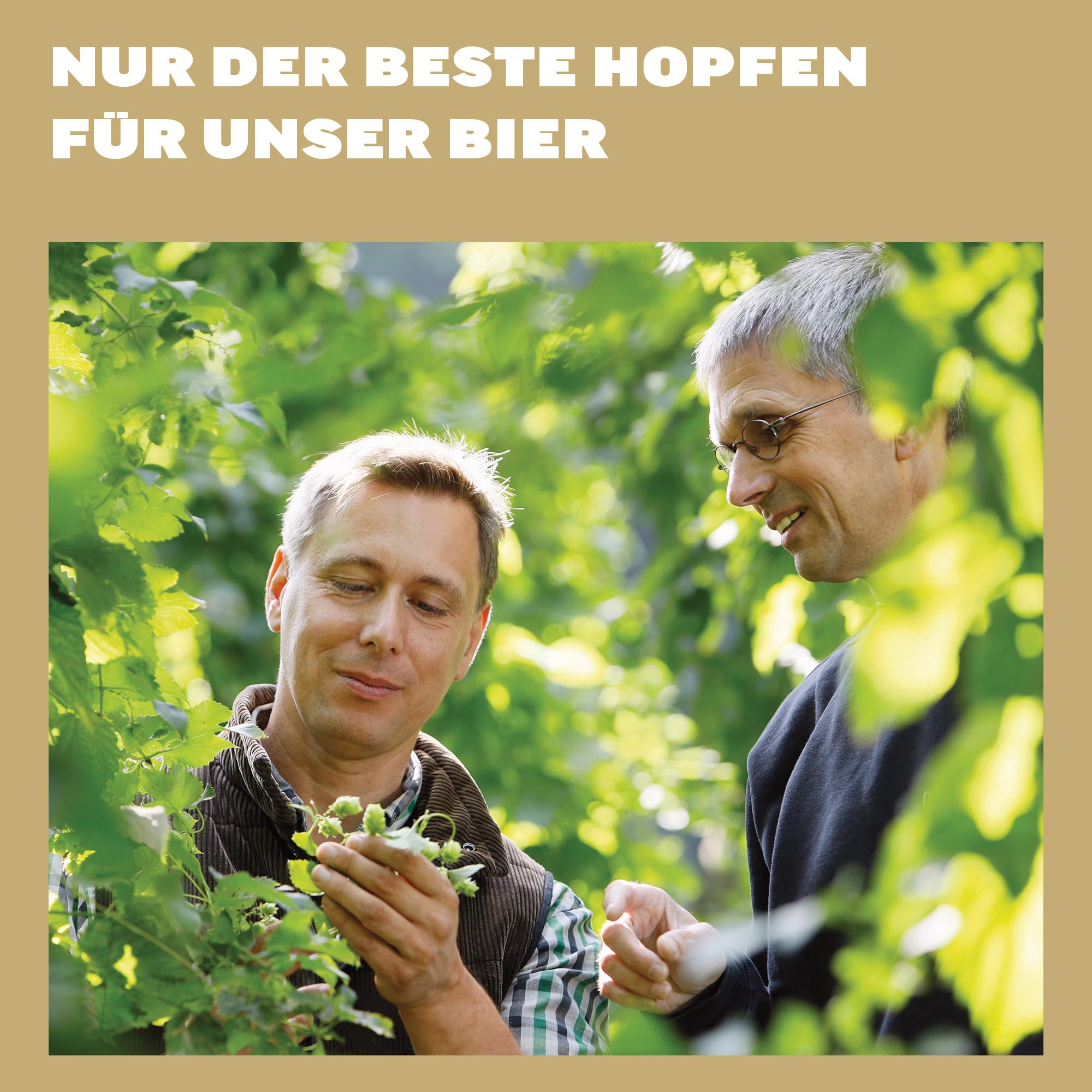 Bitburger 0,0% Pils Alkoholfrei - Dosen-Bier (24x 0,5l) - Isotonisch - Nach Deutschem Reinheitsgebot Gebraut - WM Edition: nur so lange der Vorrat reicht
