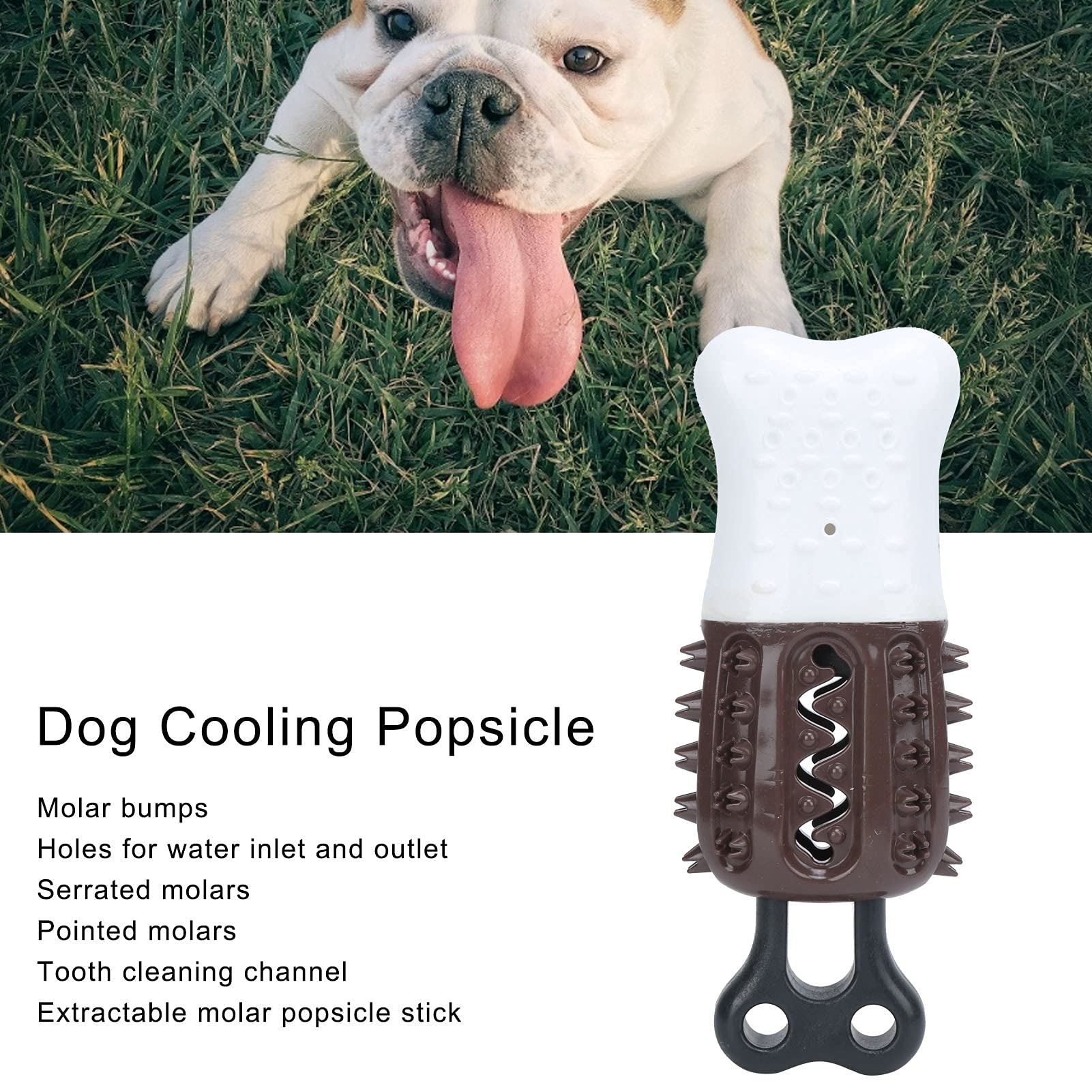 Jouet De Dentition Pour Chiot Congélateur - Distributeur D