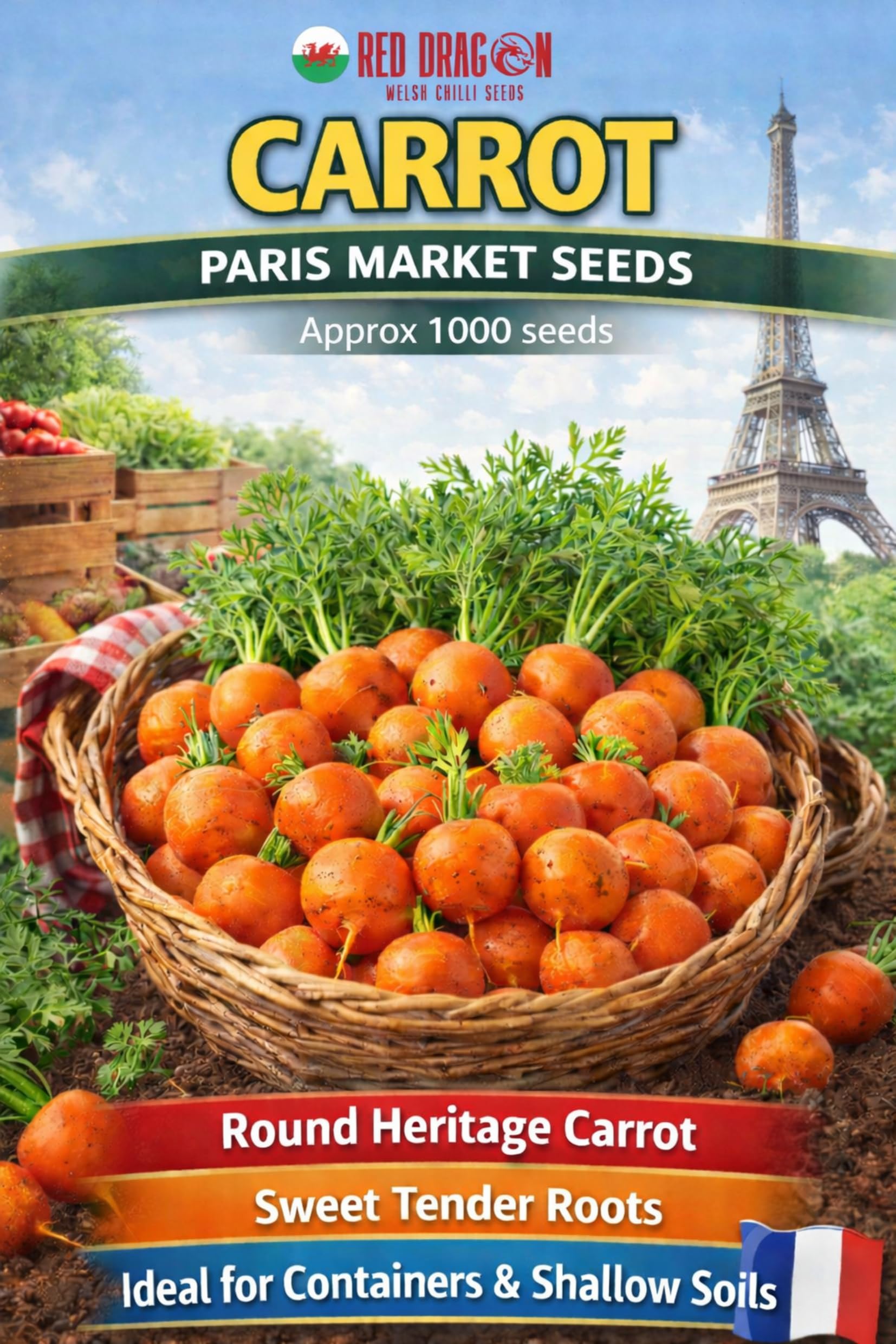 Carrot Rainbow Mix Seeds | Five Colour Carrot Varieties | Purple, White, Yellow, Red & Orange | Sweet Crunchy Roots - 500 Fresh Seeds - 5