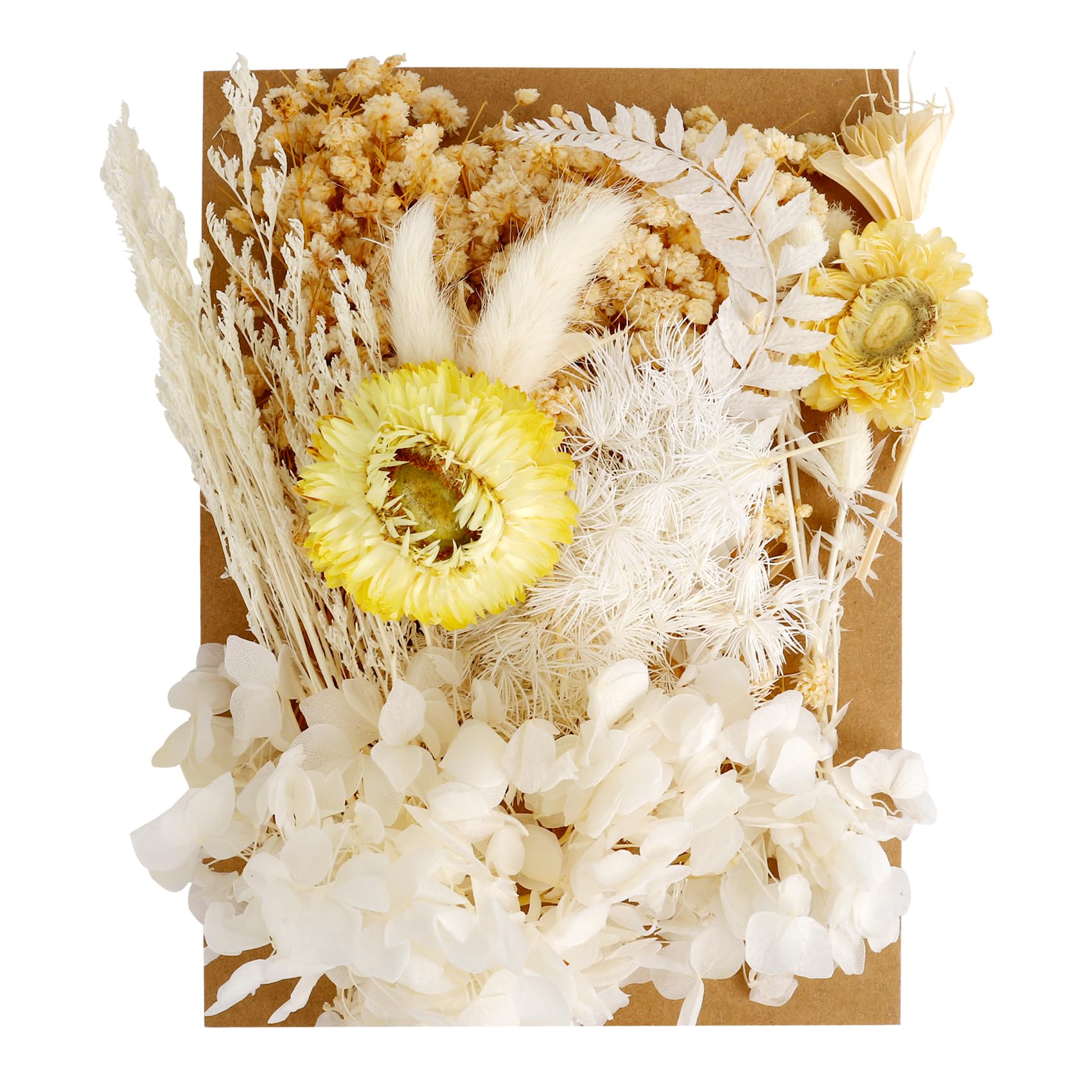 Dried Flowers For Crafts,White Dried Flowers,Dry Flowers For Decoration,Dried Pressed Flowers For Crafts,Mixed Diy Set For Arts & Crafts, Resin, Scrapbooking, Card Makin, Bookmarks — image 1