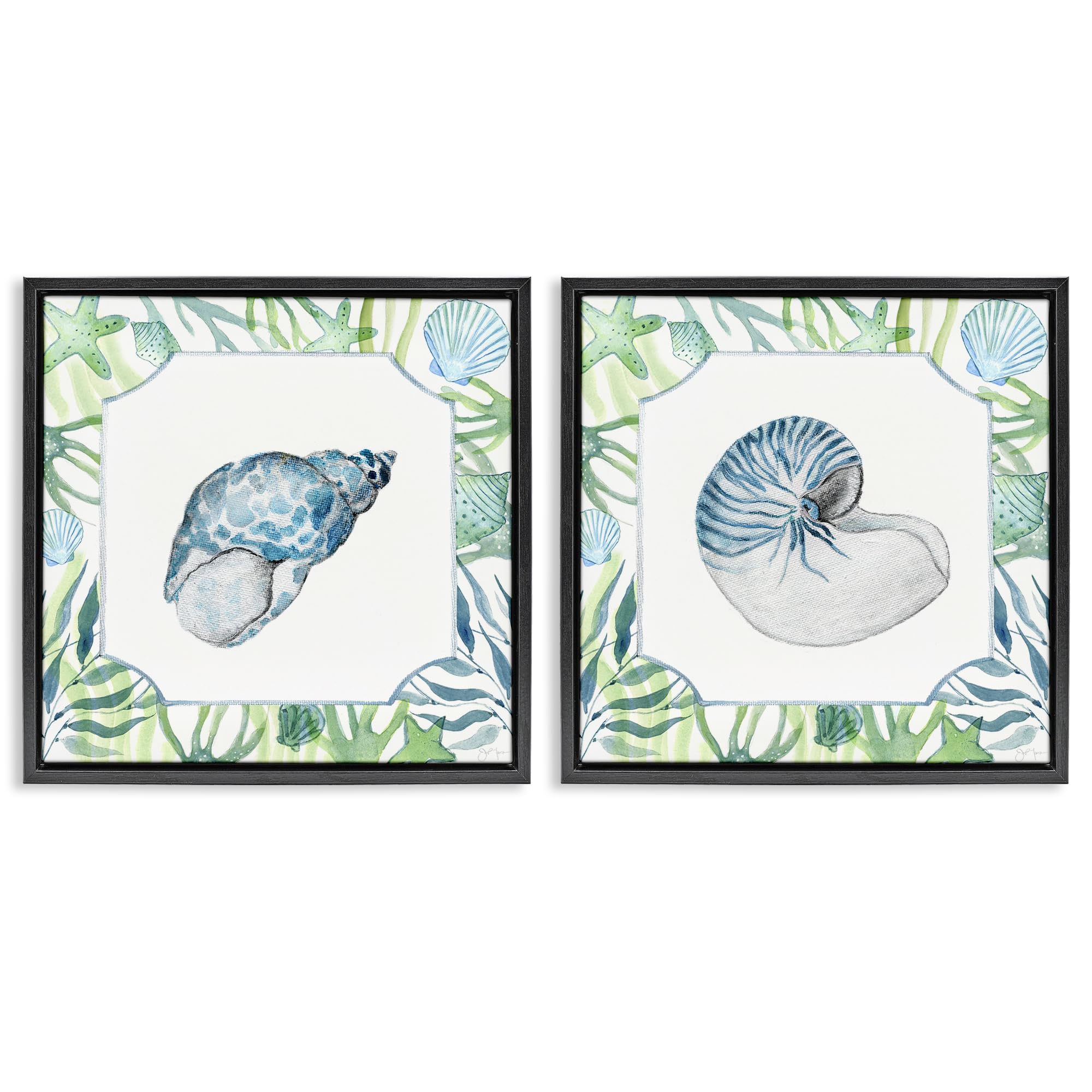 Stupell Industries 'Seaweed Bordered Seashells', 2pc Floating Frame Art Set 2, Black, 18 x 18 Inches, Easy to Hang and Sturdy, Made in USA, by Janet Tava