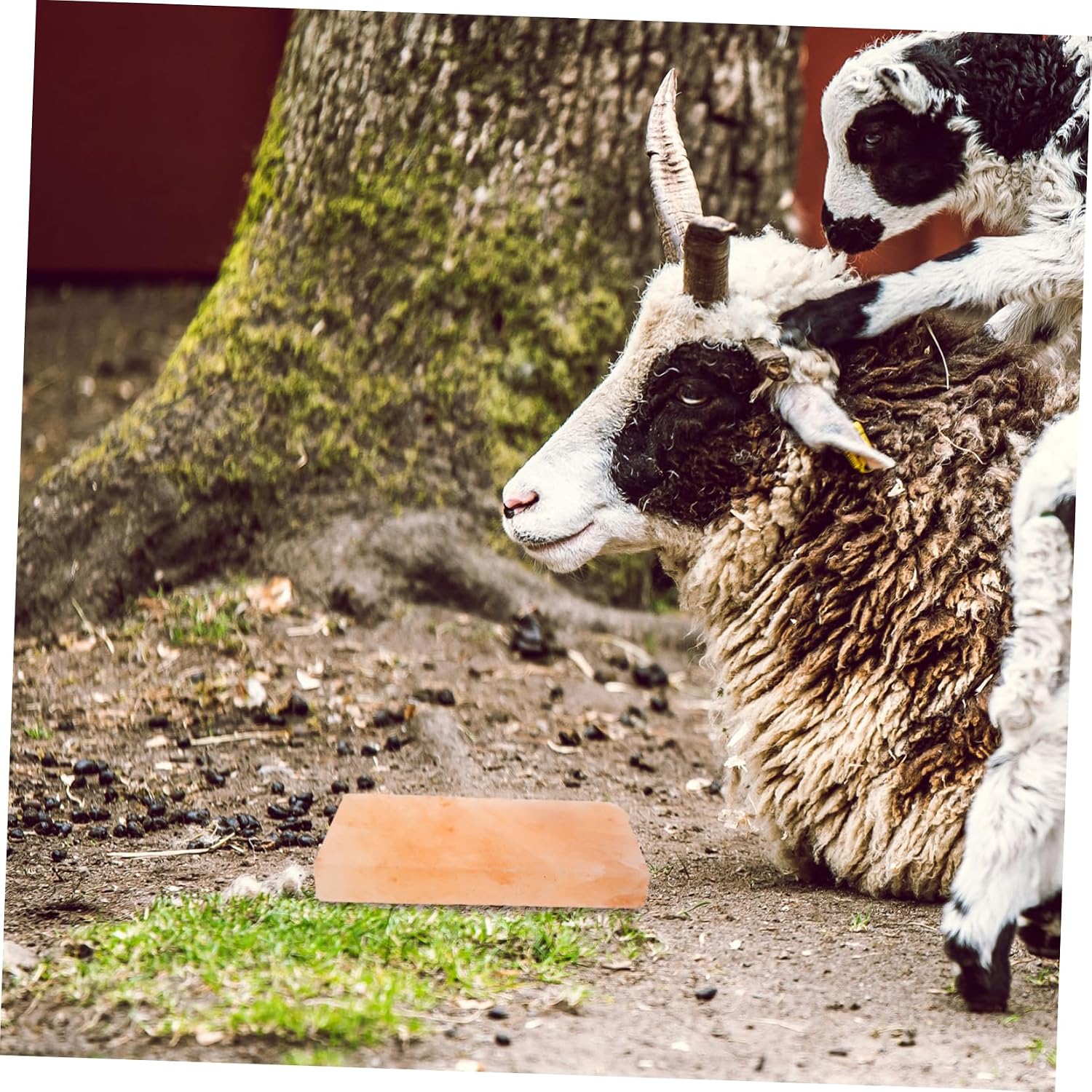 Animal Salt Lick Block Natural Salt for Cattle Horses Sheep Rich in Minerals Easy to Use
