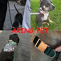 Vista 3 de ARING PET Collar y correa para perro, juego de collar y correa de terciopelo para perro, suave y cómodo, collares ajustables para perros