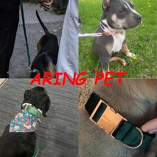 Miniatura 10 de ARING PET Juego de collar y correa de terciopelo para perro, collar y correa suaves para perros, collares ajustables para perros
