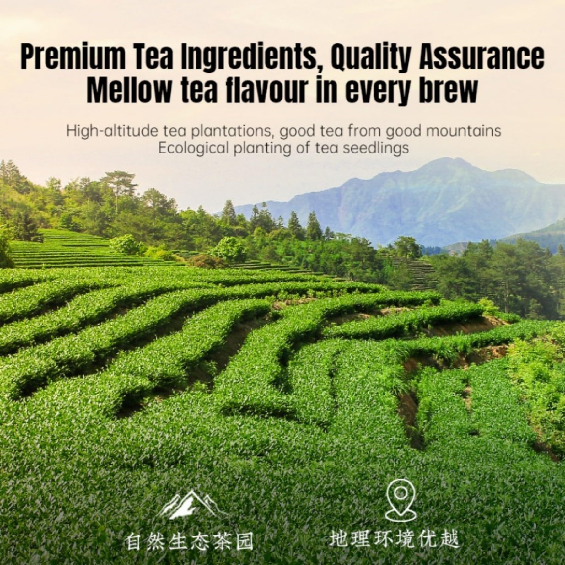 Tè Verde Premium Pre-ching Ming Longjing 250g / 8,81oz Tè in Foglie Sfuse, Gusto Naturale