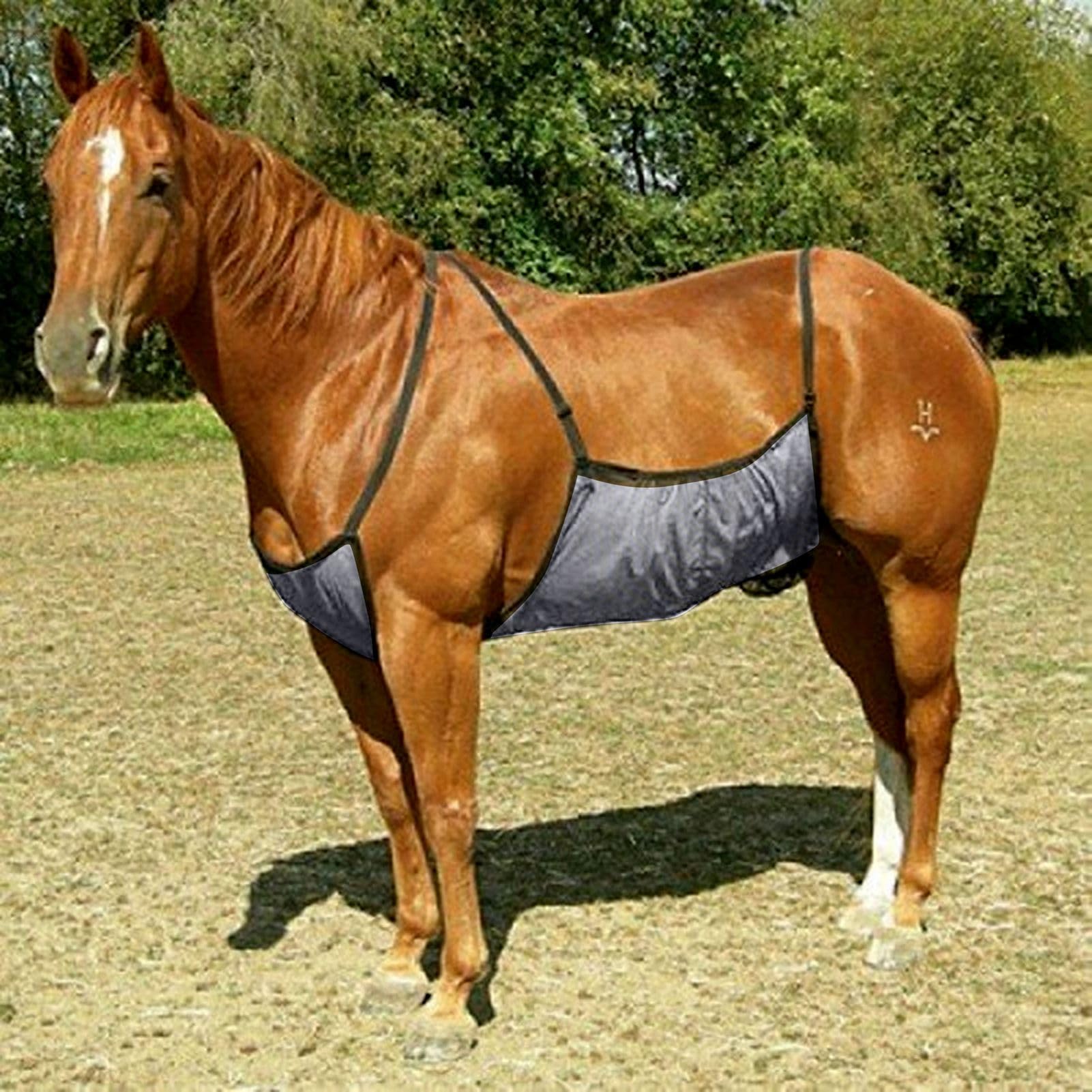 Protector de Vientre de Caballo, Malla Ligera y Transpirable para Montar a Caballo, Protector de Vientre con Correas Ajustables para Montar en un Entorno Estable Sábana