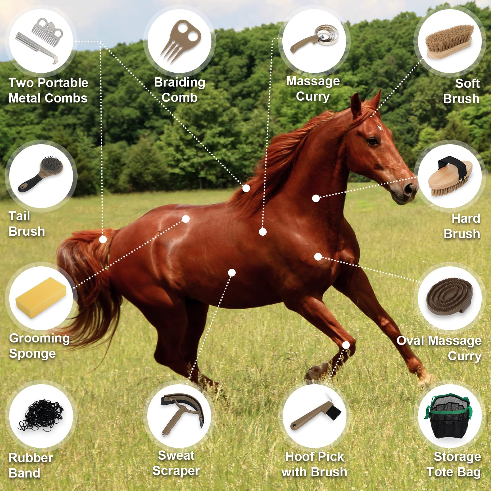 Swess Horse Grooming Kit 14 Pieces, Horse Brushes Set for Grooming & Bathing Supplies, Professional Horse Supplies with Mane & Tail Comb, Curry Comb, Hoof Pick, Gloves & Mesh Tote Bag for Equine Care - image 4