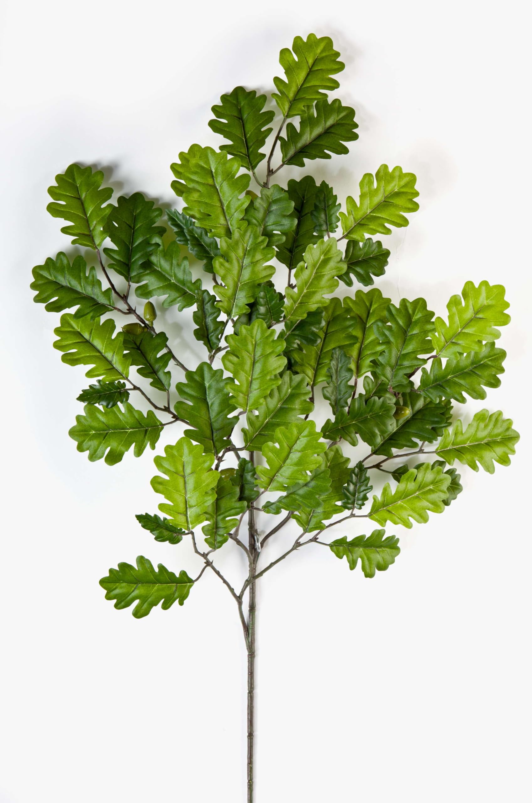 artplants.de Artificial Oak Foliage Spray with 8 acorns, 55 leaves, green, 24"/60cm - Artificial foliage/Silk branch