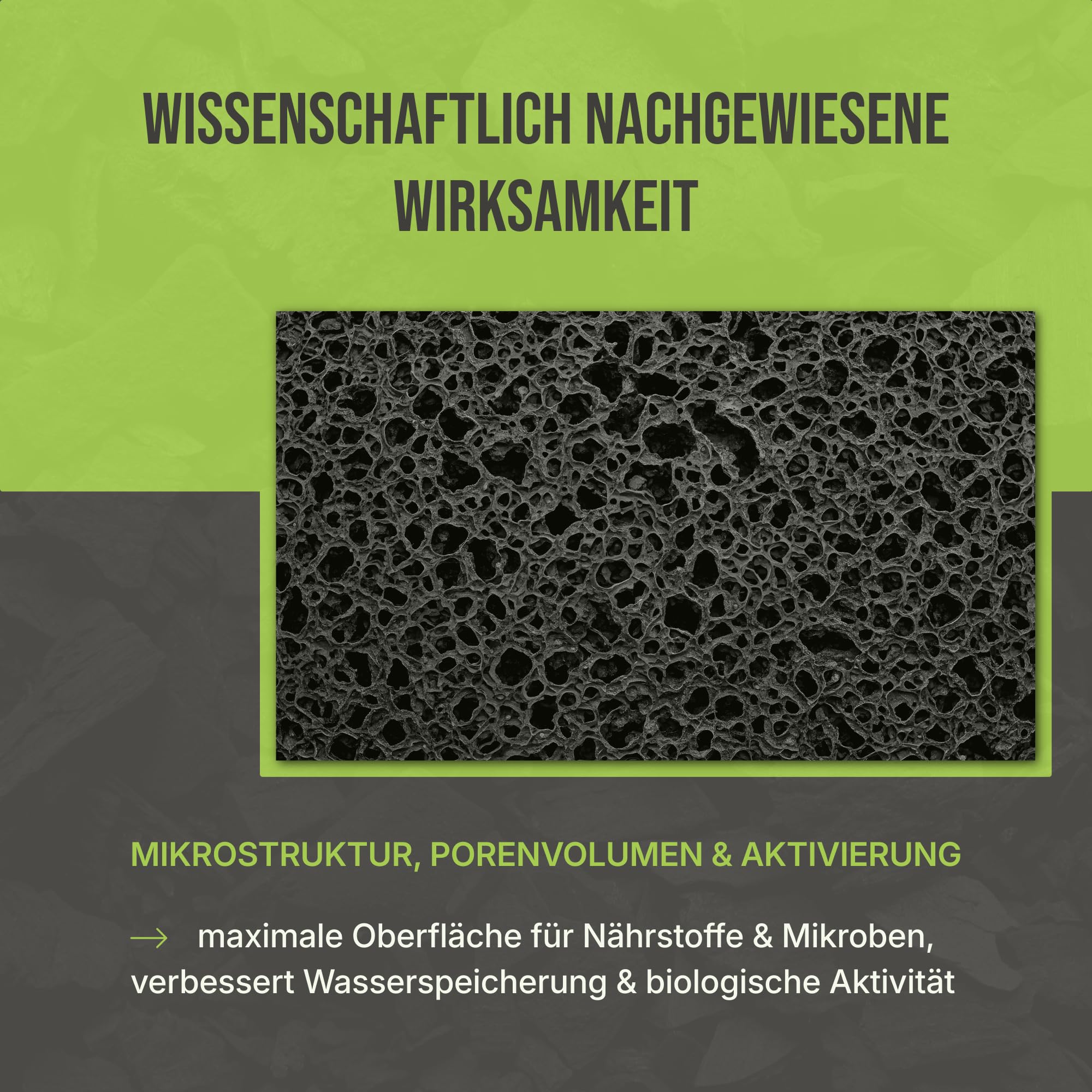 C44-20L Premium Pflanzenkohle - EBC-zertifiziertes Biochar für Garten, Rasen & Hochbeet - Basis für Terra Preta - Hochporöser Bodenverbesserer & Nährstoffspeicher