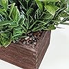 Product Photo 4