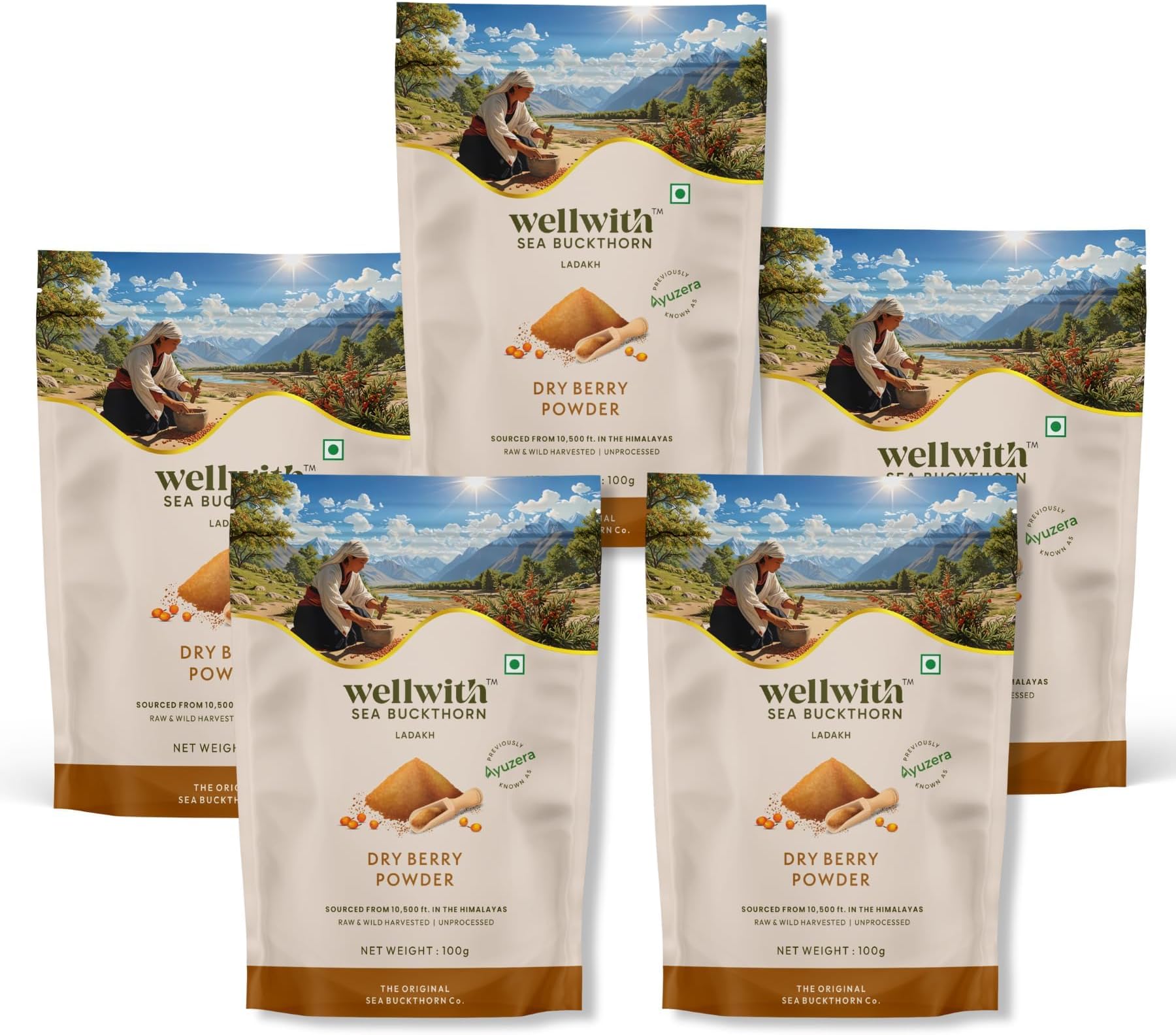 Wellwith by Ayuzera Himalayan Sea Buckthorn Berries Powder | Rich in Omega 3, 6, 7, 9 | Collagen, Fiber, Omegas, Vitamin C, Vitamin E | Dry Sea Buckthorn Berry Powder (500, Grams)