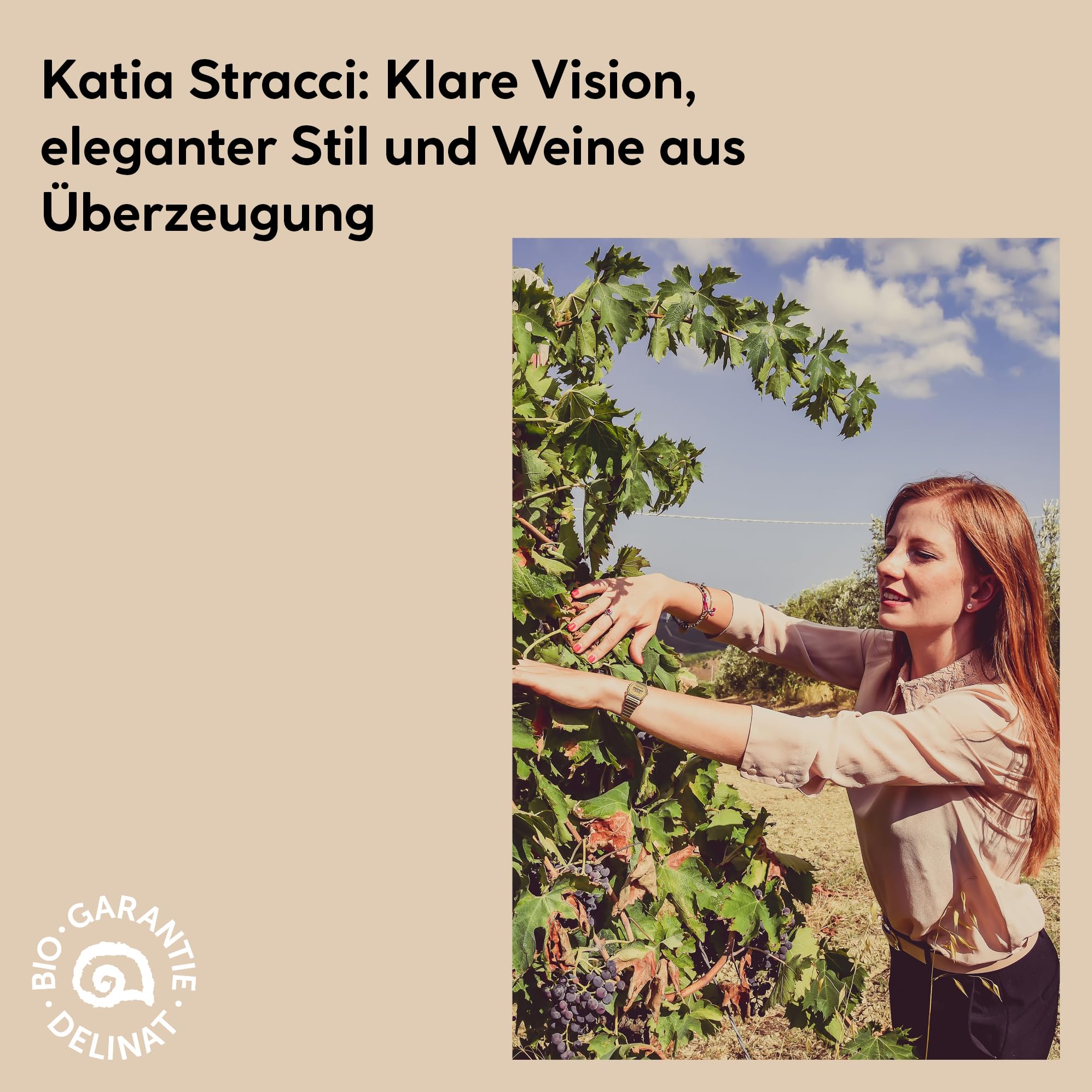 DELINAT Tao Piceno 2021 – Italienischer Bio-Rotwein trocken aus den Marchen | Premium Cuvée aus Montepulciano und Sangiovese - Veganer Qualitätswein aus Holzfass-Ausbau 6 x 0,75l