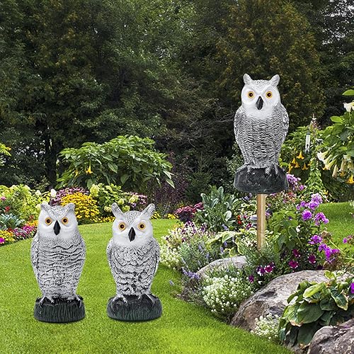 Miniatura 6 de KKY 2 paquetes de pájaro de búho de plástico falso, estatua de búho de jardín, puede repeler palomas lejos de la casa, jardín, piscina.